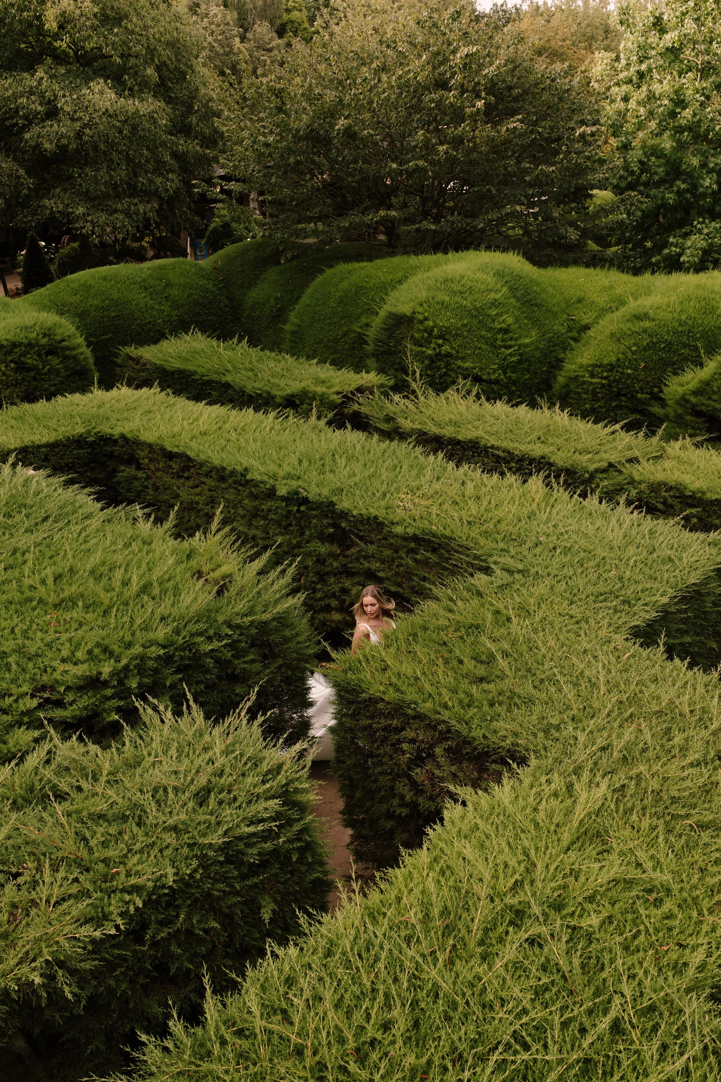 A bride walking through Ashcombe Maze & Gardens in Red Hill.