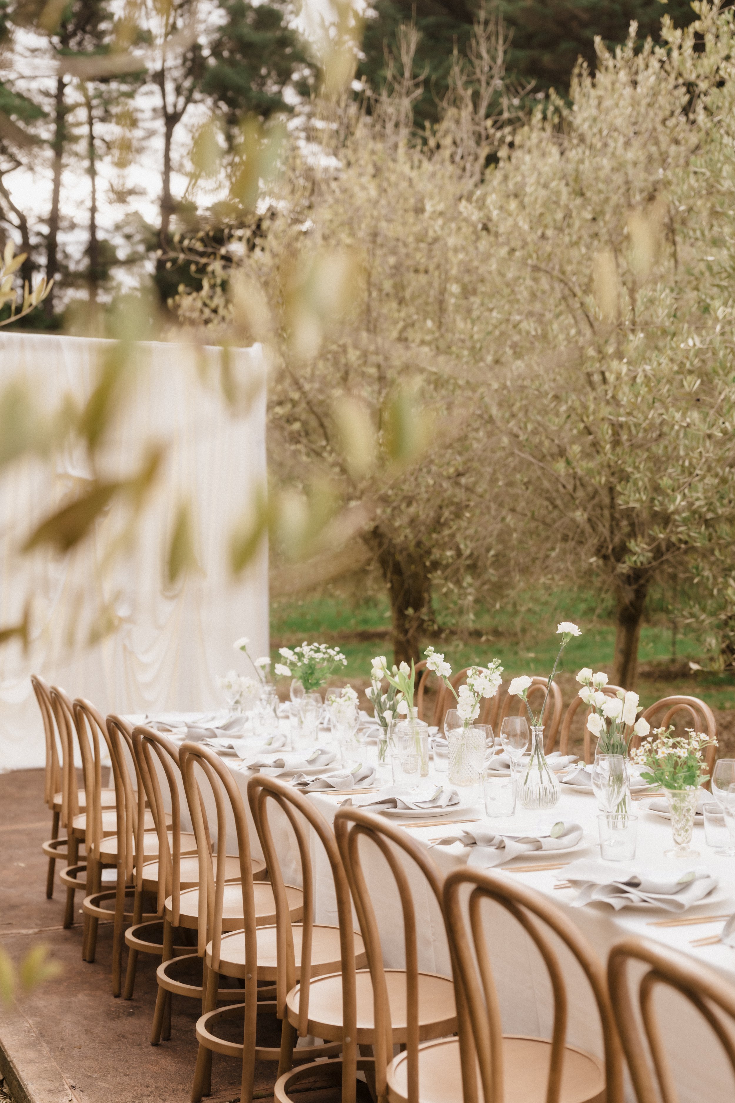 Long dining table set outdoors with white tablecloths, white plates, napkins, and glassware, decorated with white flowers in various vases, surrounded by tan chairs, with trees in the background.