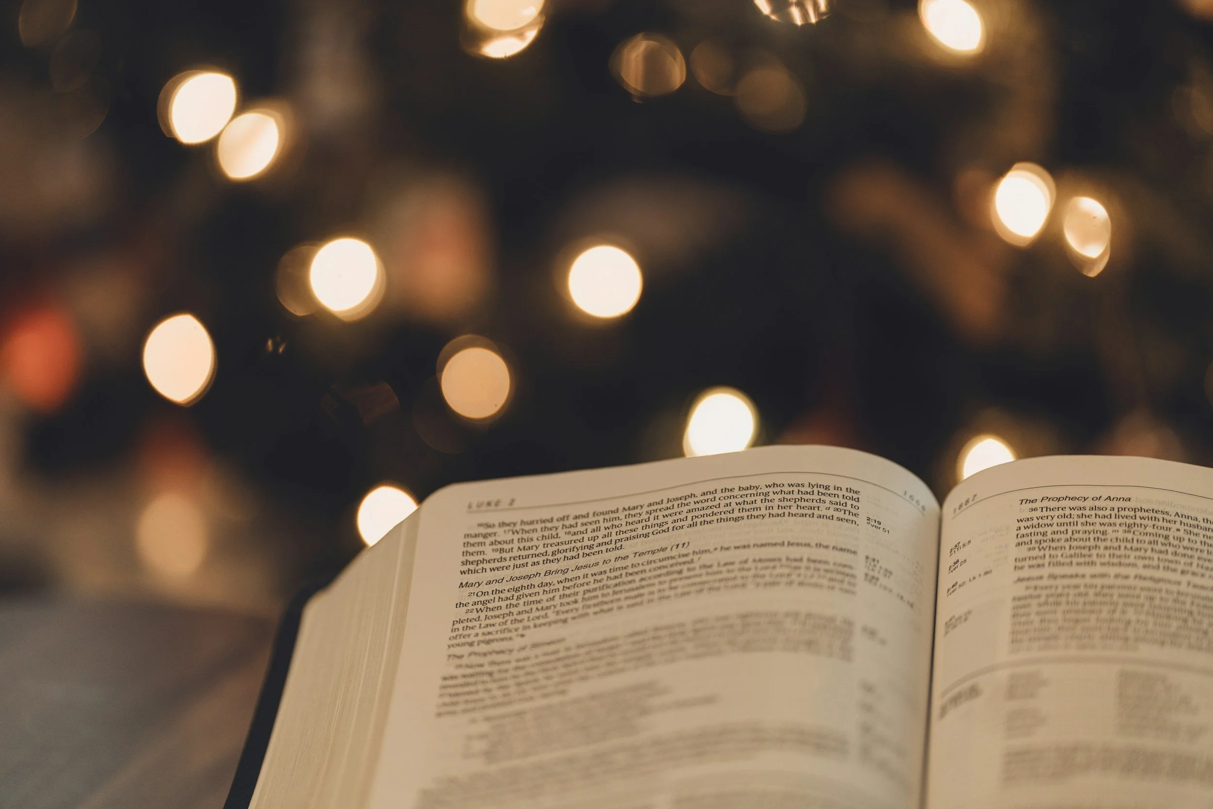 An open book with text on pages, illuminated by warm, blurry string lights in the background.