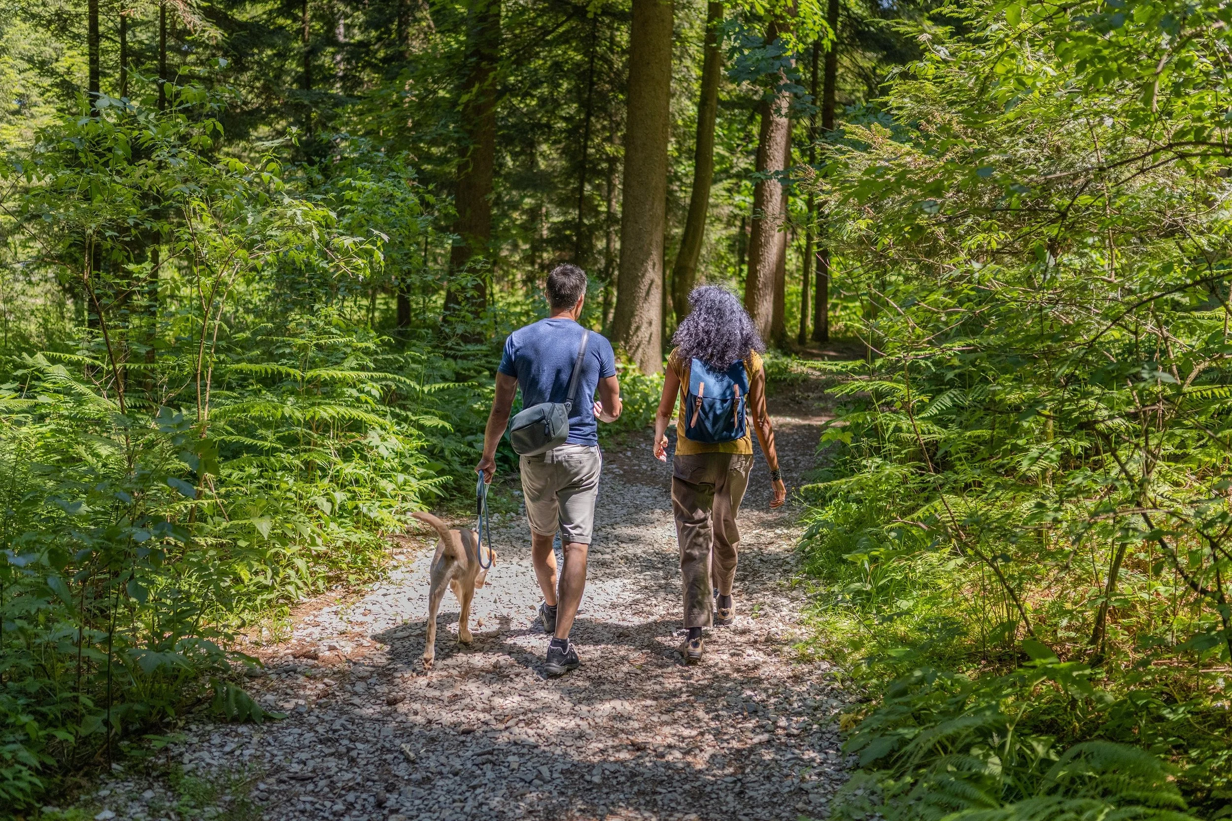 Two people walking on a forest trail with a dog. The man wears a blue shirt and khaki shorts, and the woman wears a yellow top and khaki pants. They are surrounded by dense green foliage and tall trees.