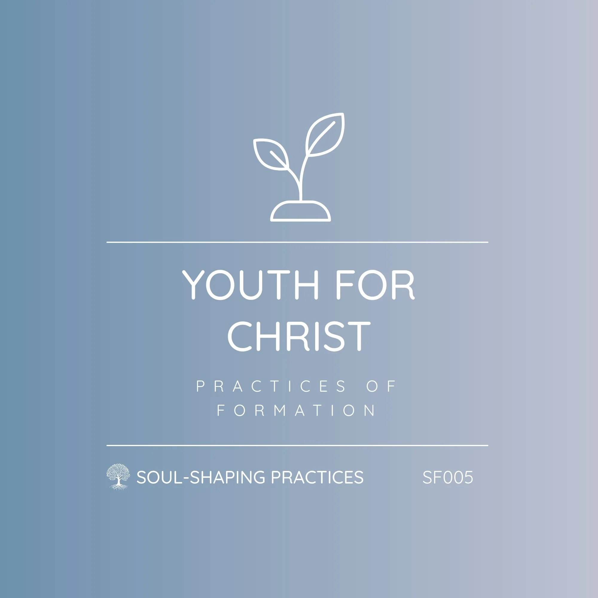 SF005 - Soul Shaping Practices | Ministry Partner