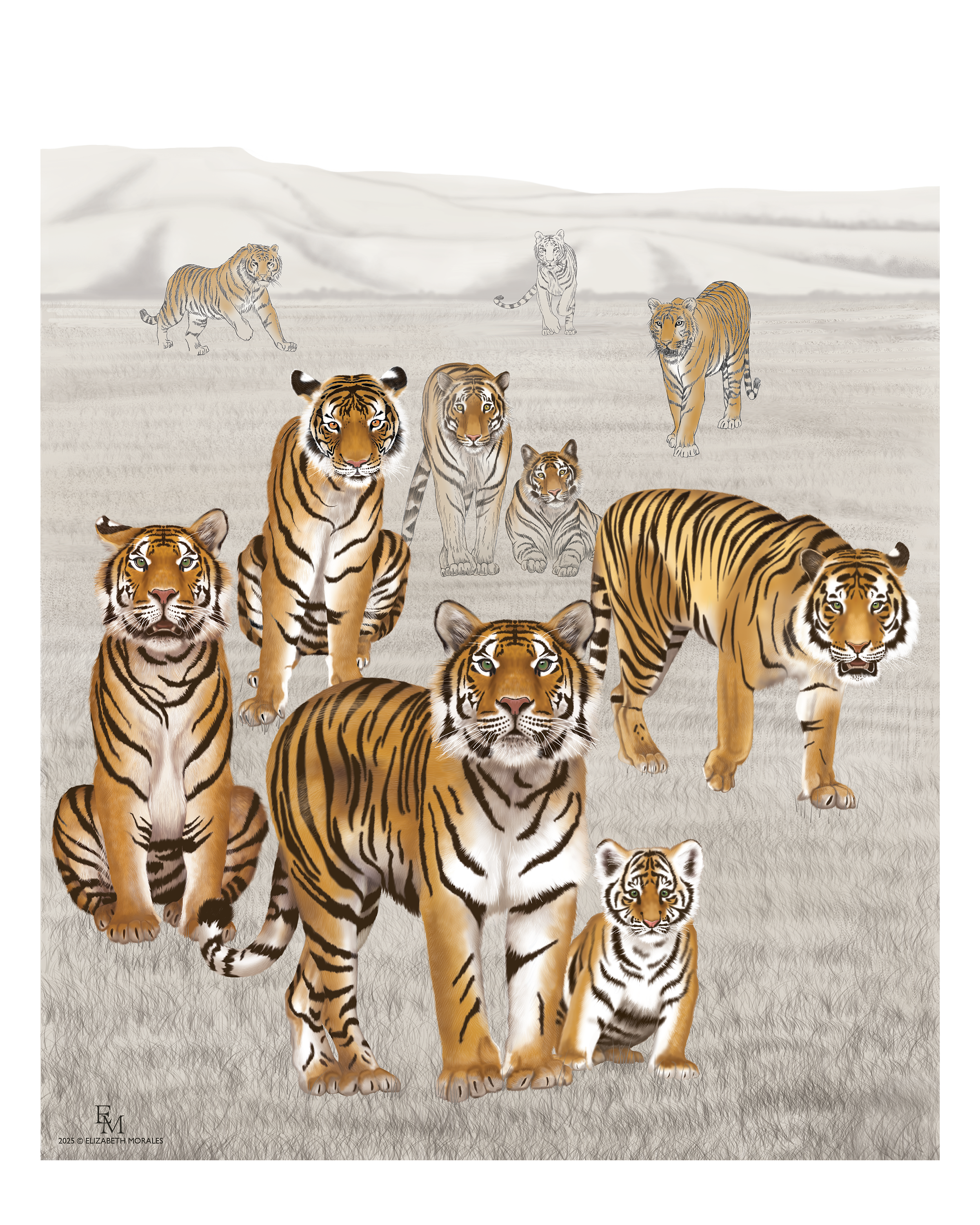 Guild of Natural Science Illustrators: Exhibit Opening Reception