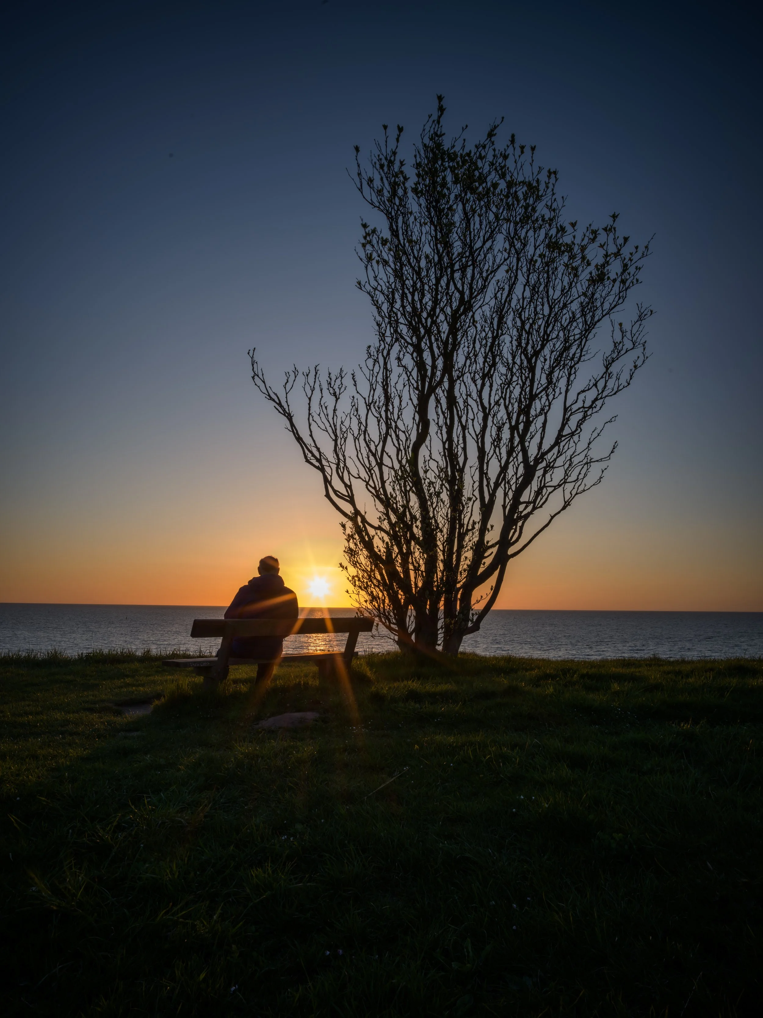 Fotoklub Hundested 2026-7.jpg