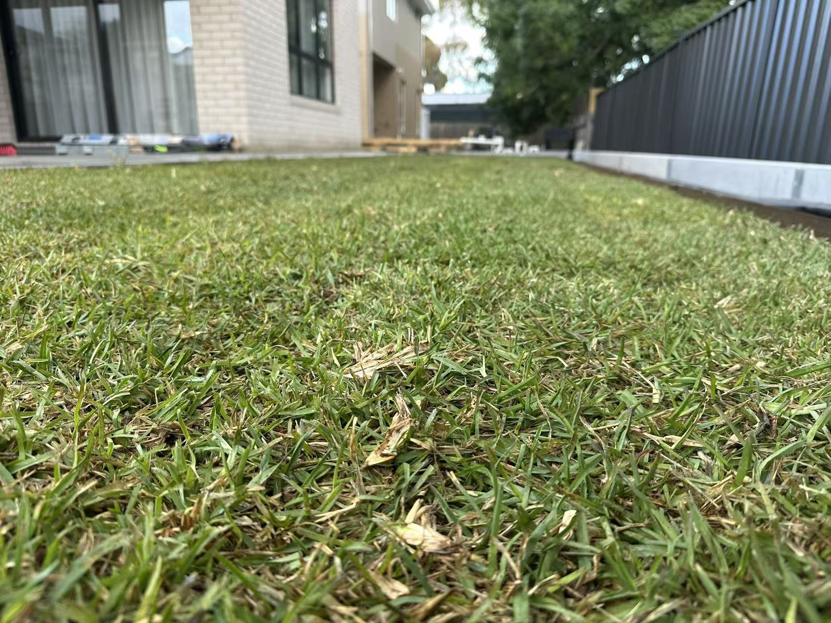 Turf laying & Irrigation systems