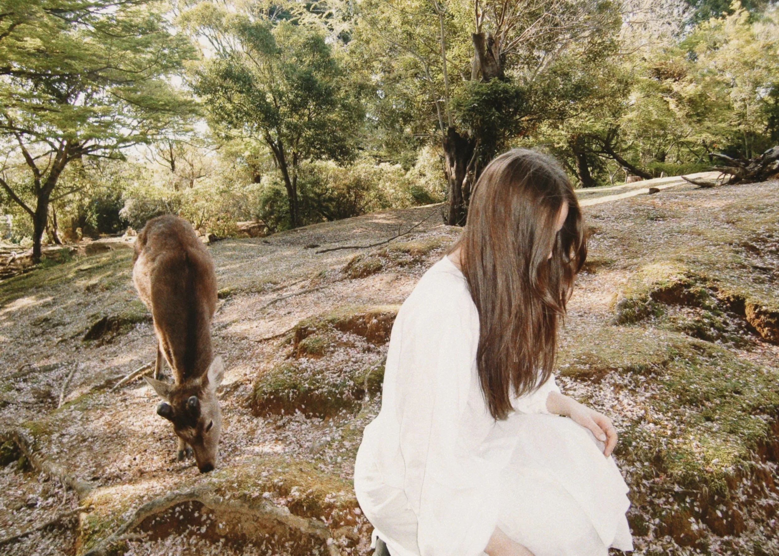 sun + her, shot in Nara, Japan