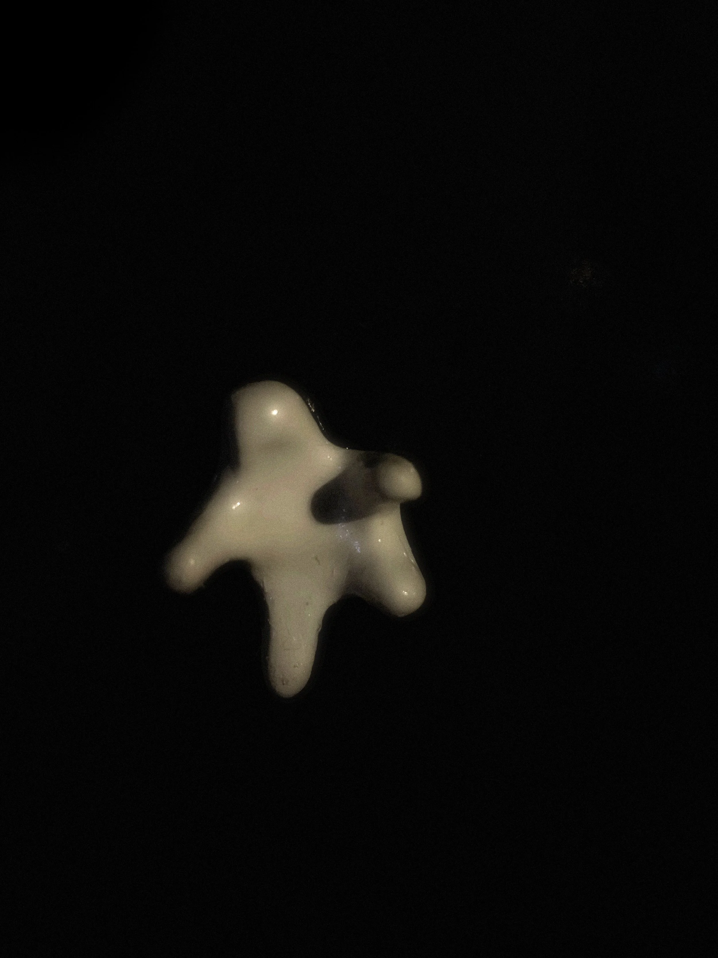 IMG_7376.jpeg
