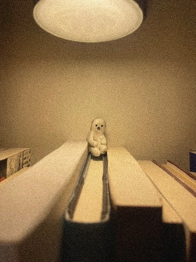 IMG_7374.jpeg