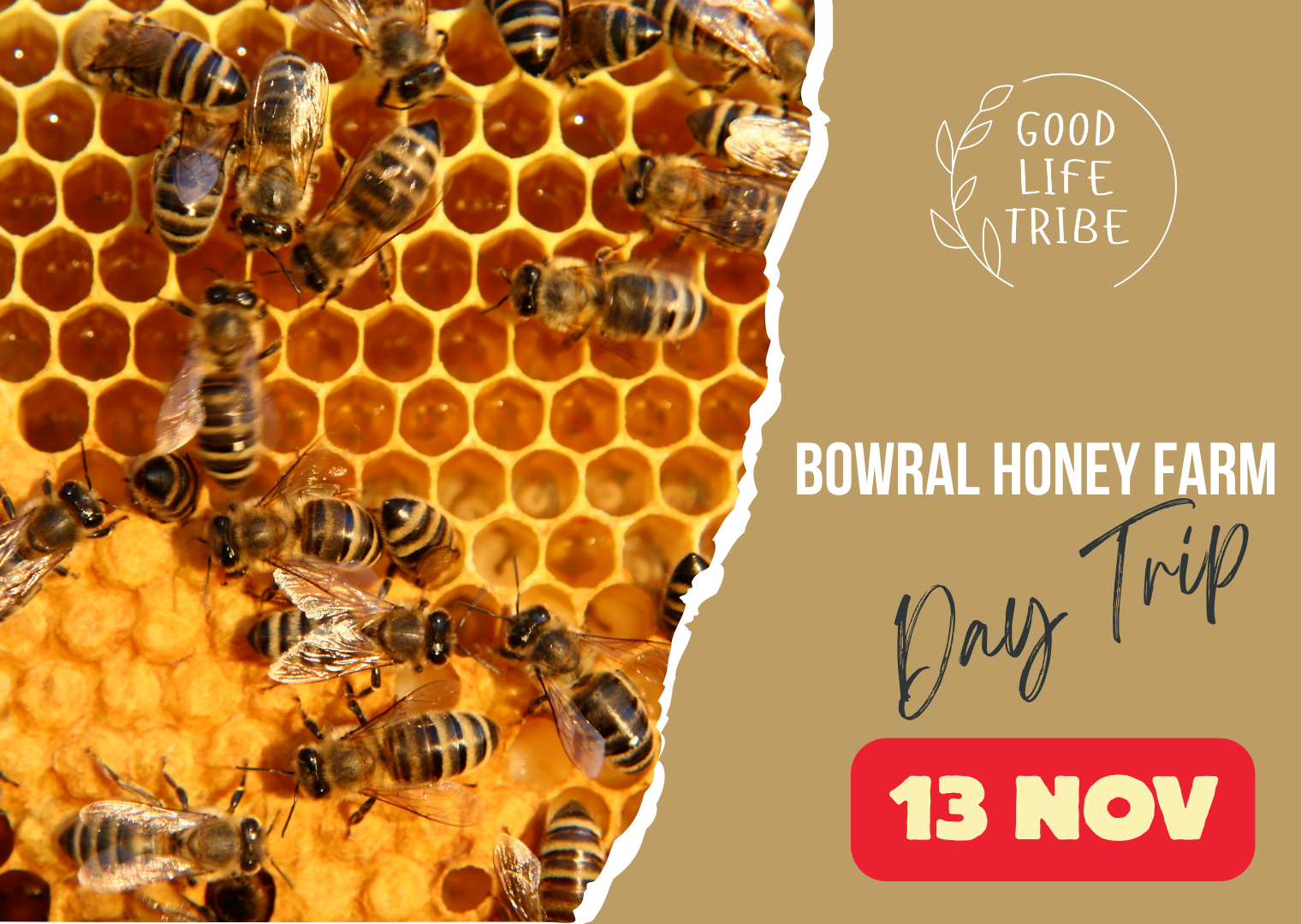 Bowral Honey Farm
