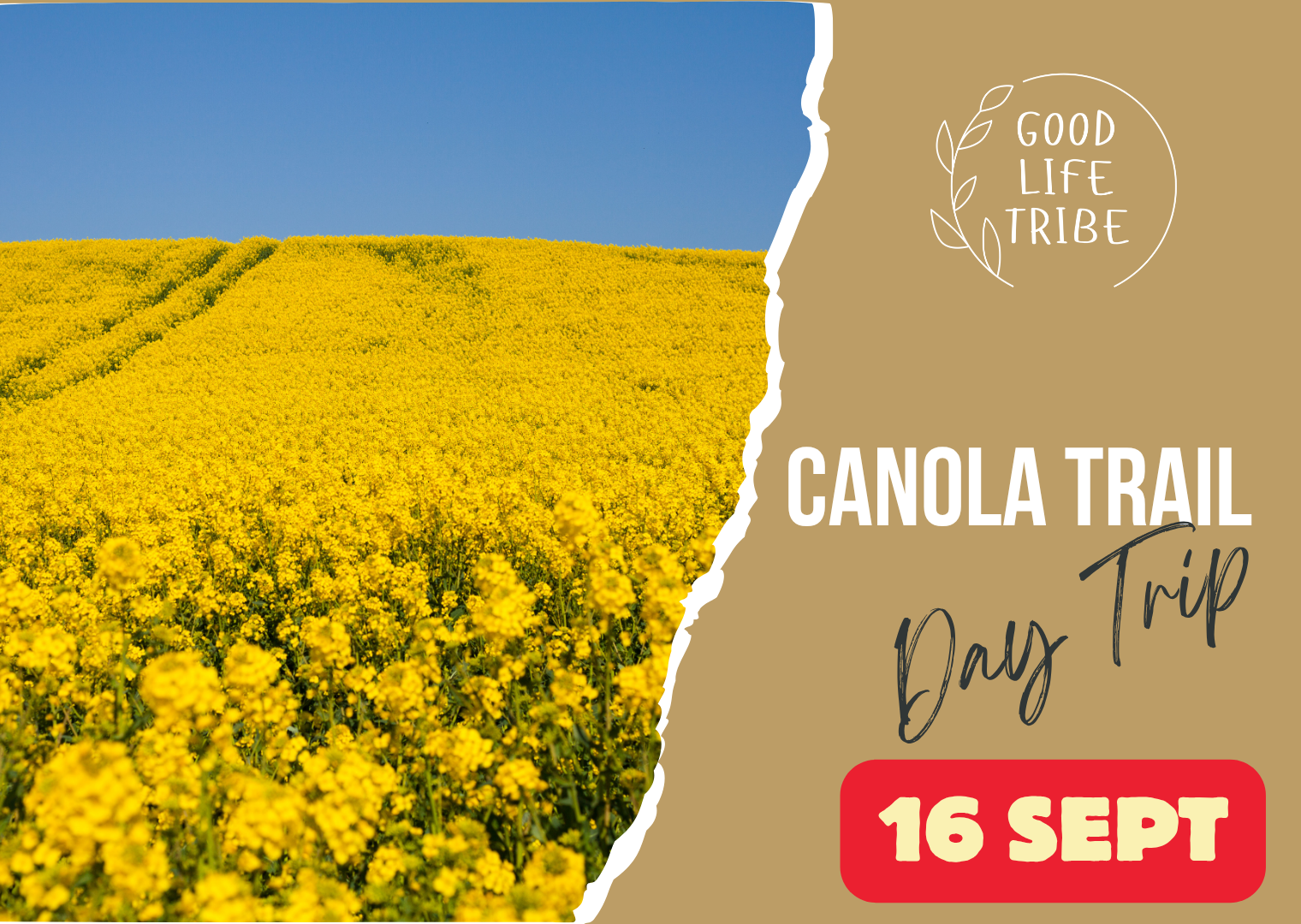 Canola Trail: Temora & Junee
