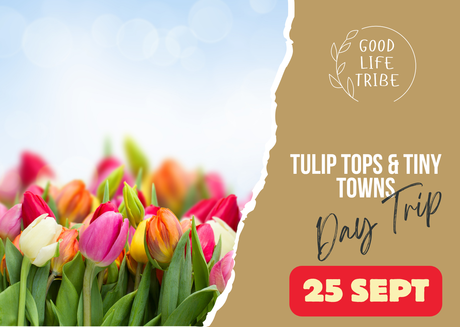 Tulip Tops and Tiny Towns - Gundaroo and Yass