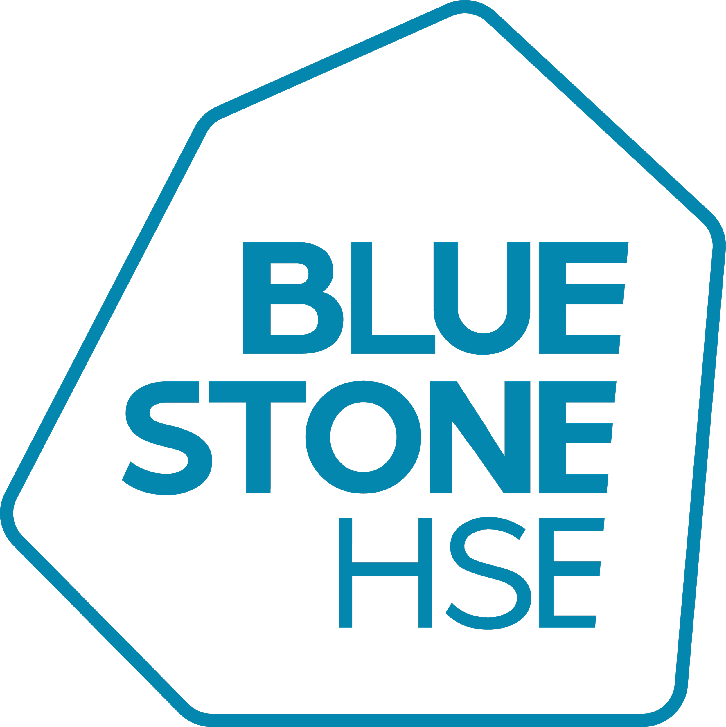 Logo of Blue Stone House with blue outlined geometric shape and the words 'Blue Stone HSE' in blue.