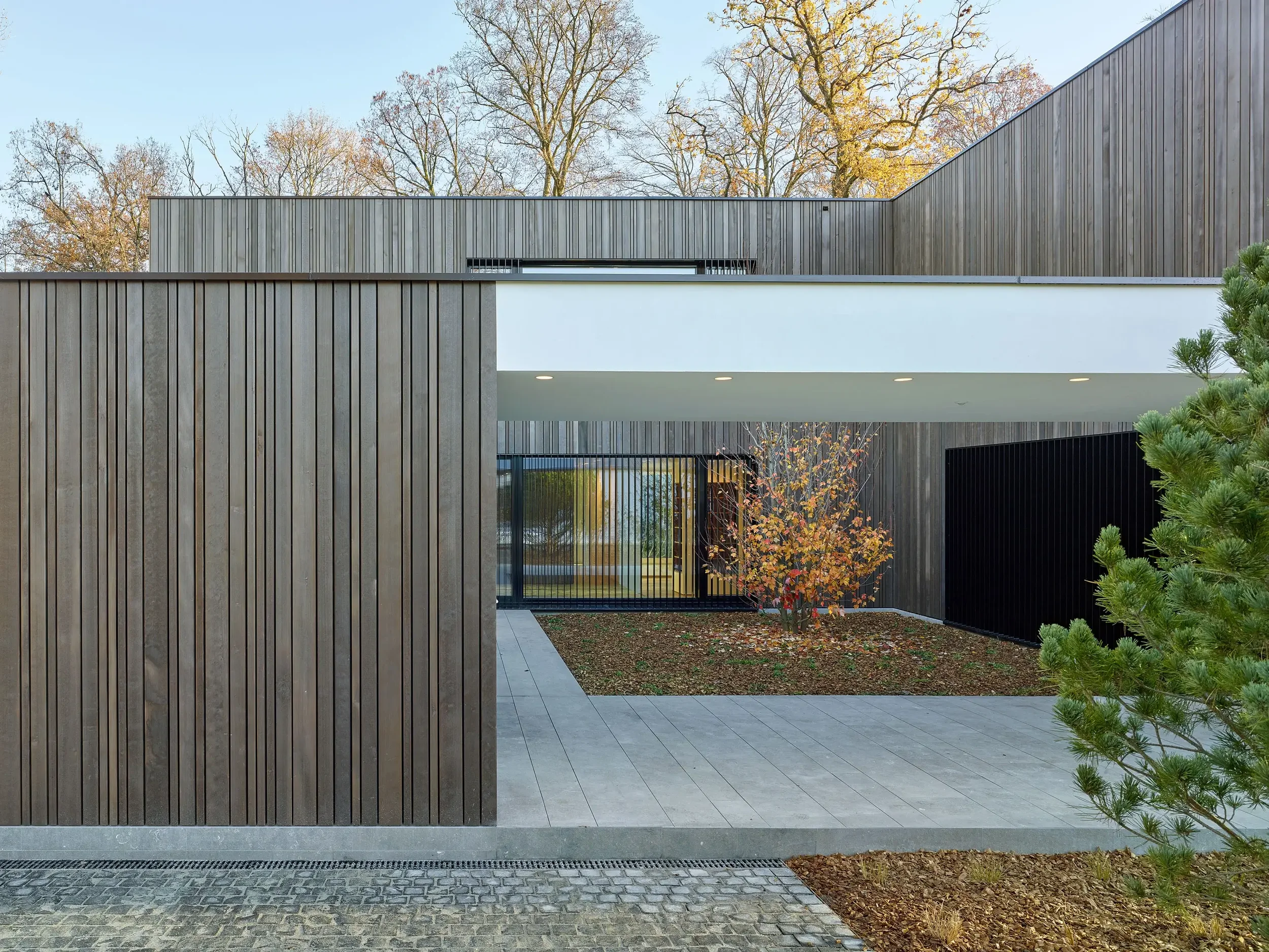 Carneiro_Architectes-2_villas_contigues_Vandoeuvres-012.webp