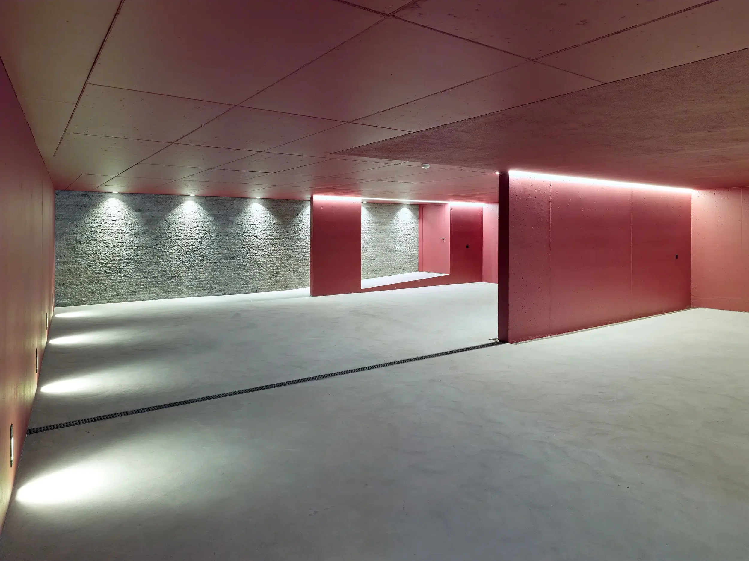 Carneiro_Architectes-2_villas_contigues_Vandoeuvres-041.webp