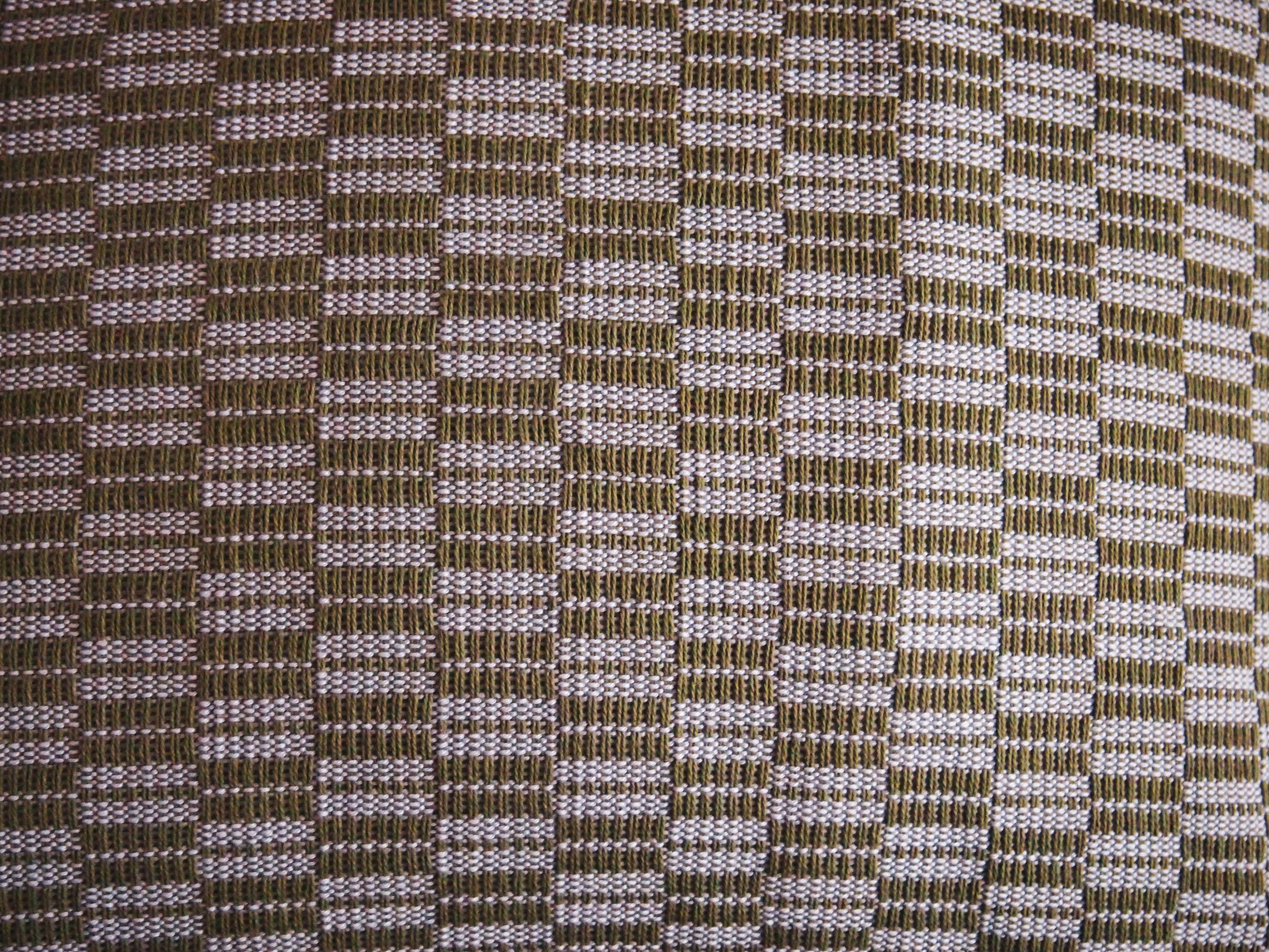 47) Green Asymmetric Check.JPG