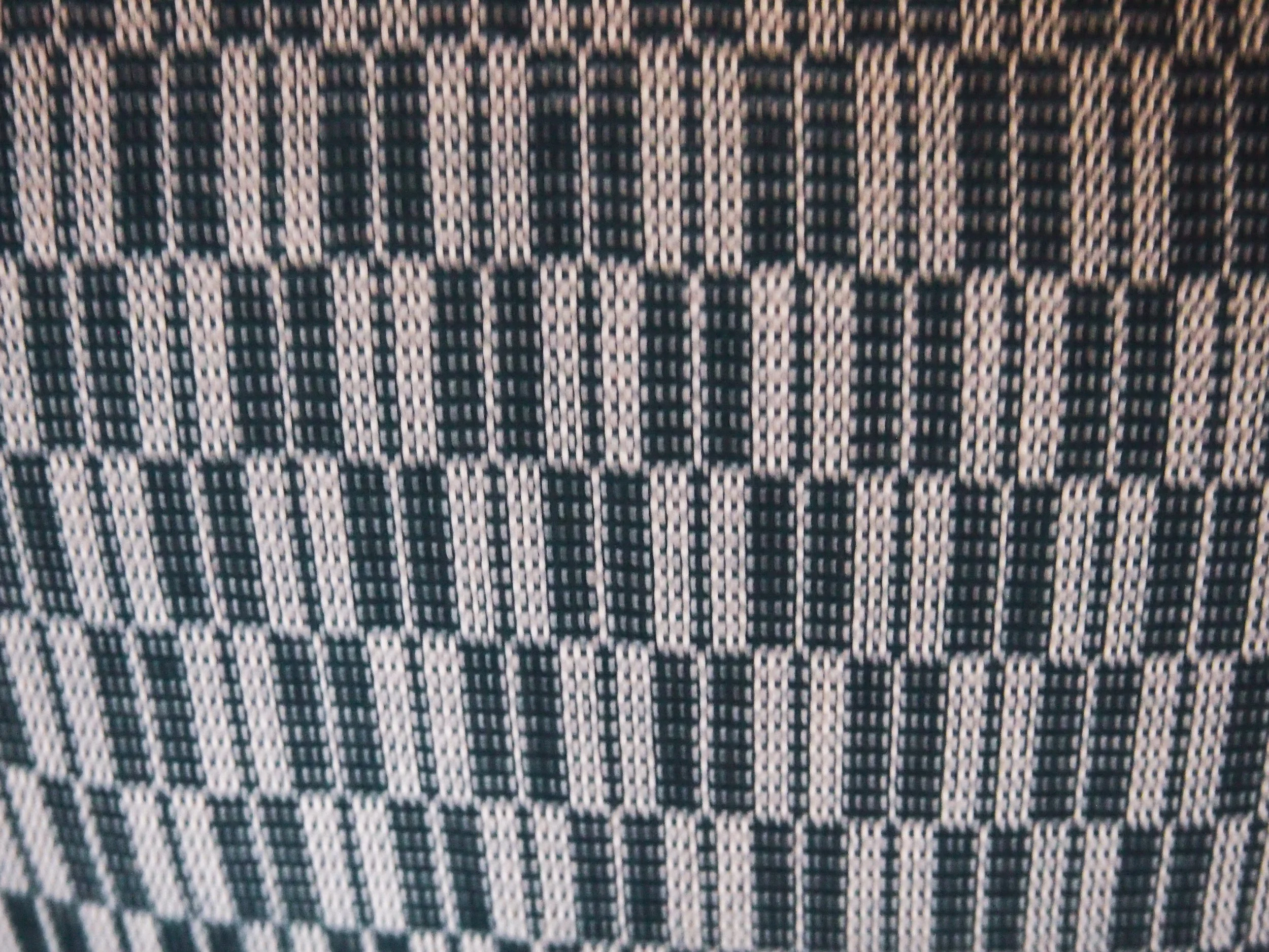 49) Weaving Point Blue Check.JPG