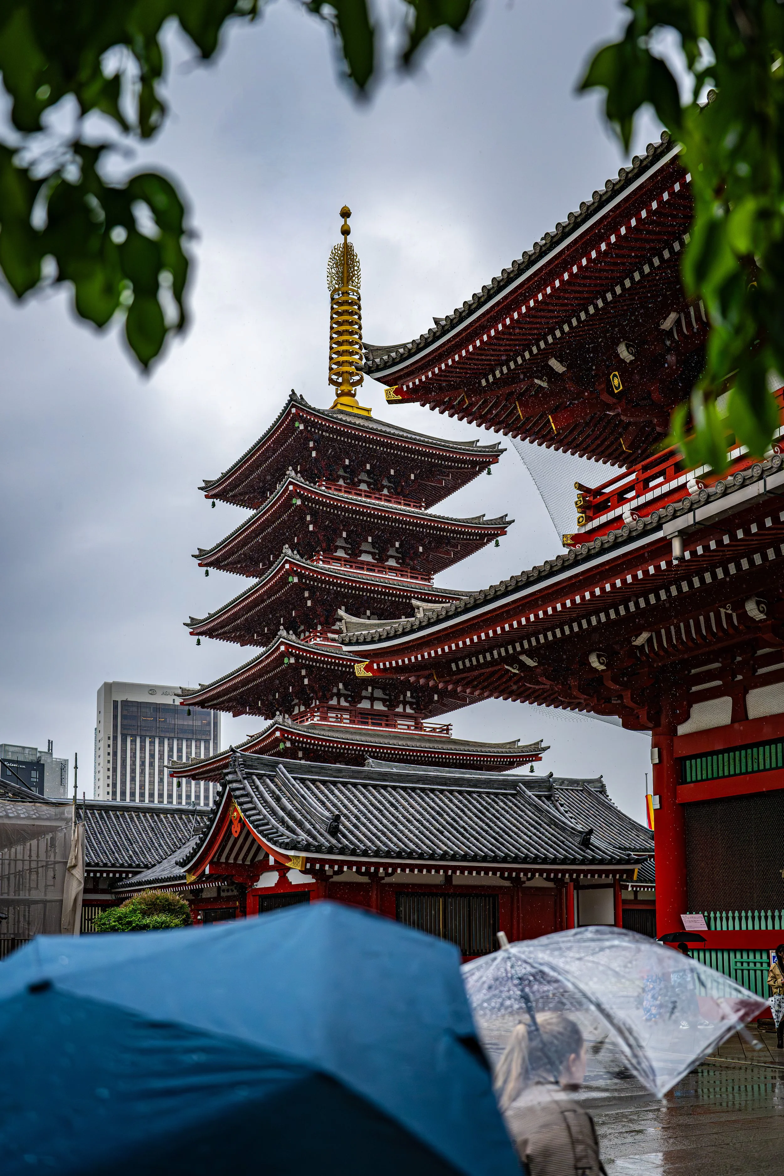 DSC_2396.jpg