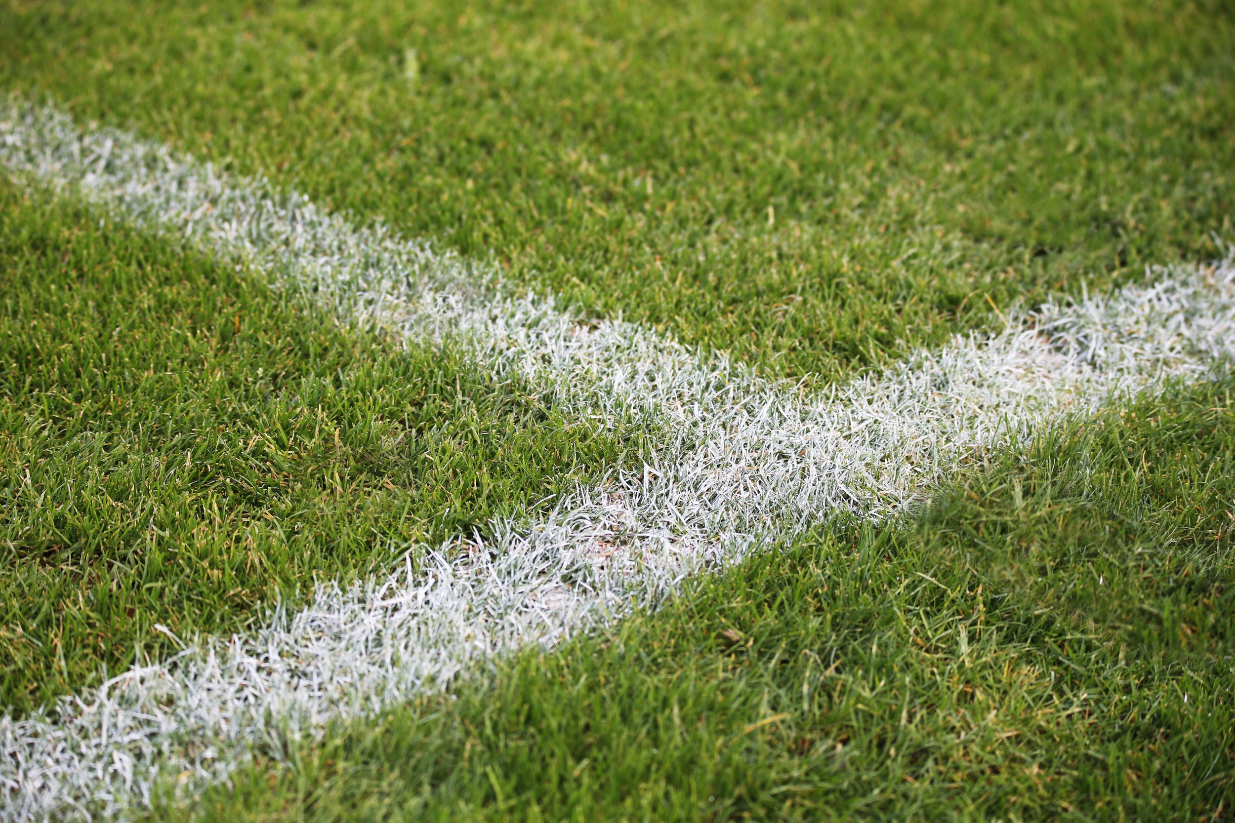 closeup-shot-painted-white-lines-green-soccer-field-germany.jpg