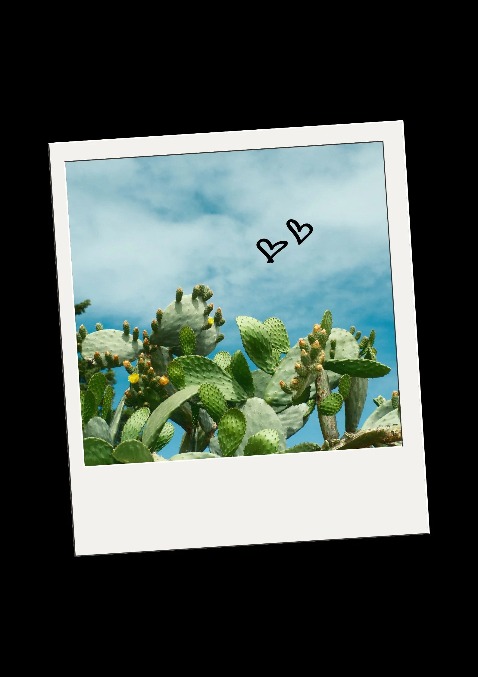 Sip & Shoot: Polaroid Party! ☕️📸