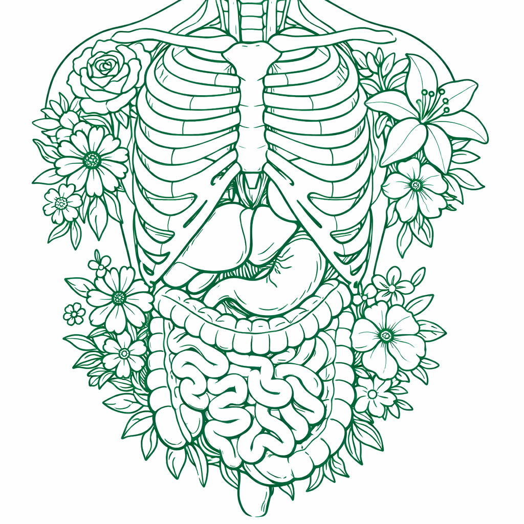 Abdominal & pelvic ultrasound