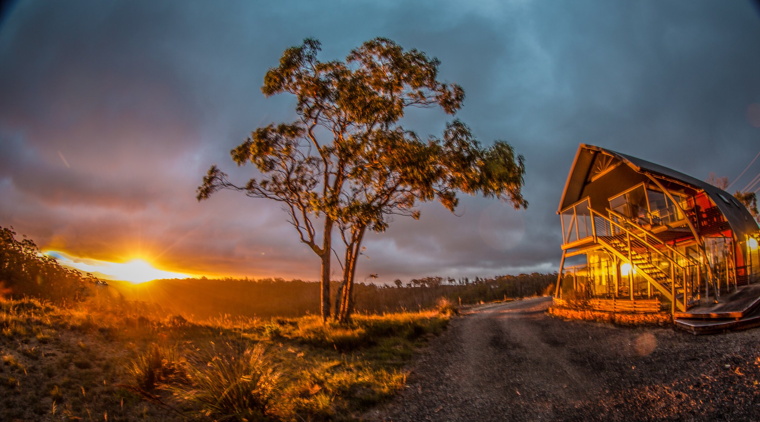 Sunset over a tree and a modern, glass house on a gravel path.