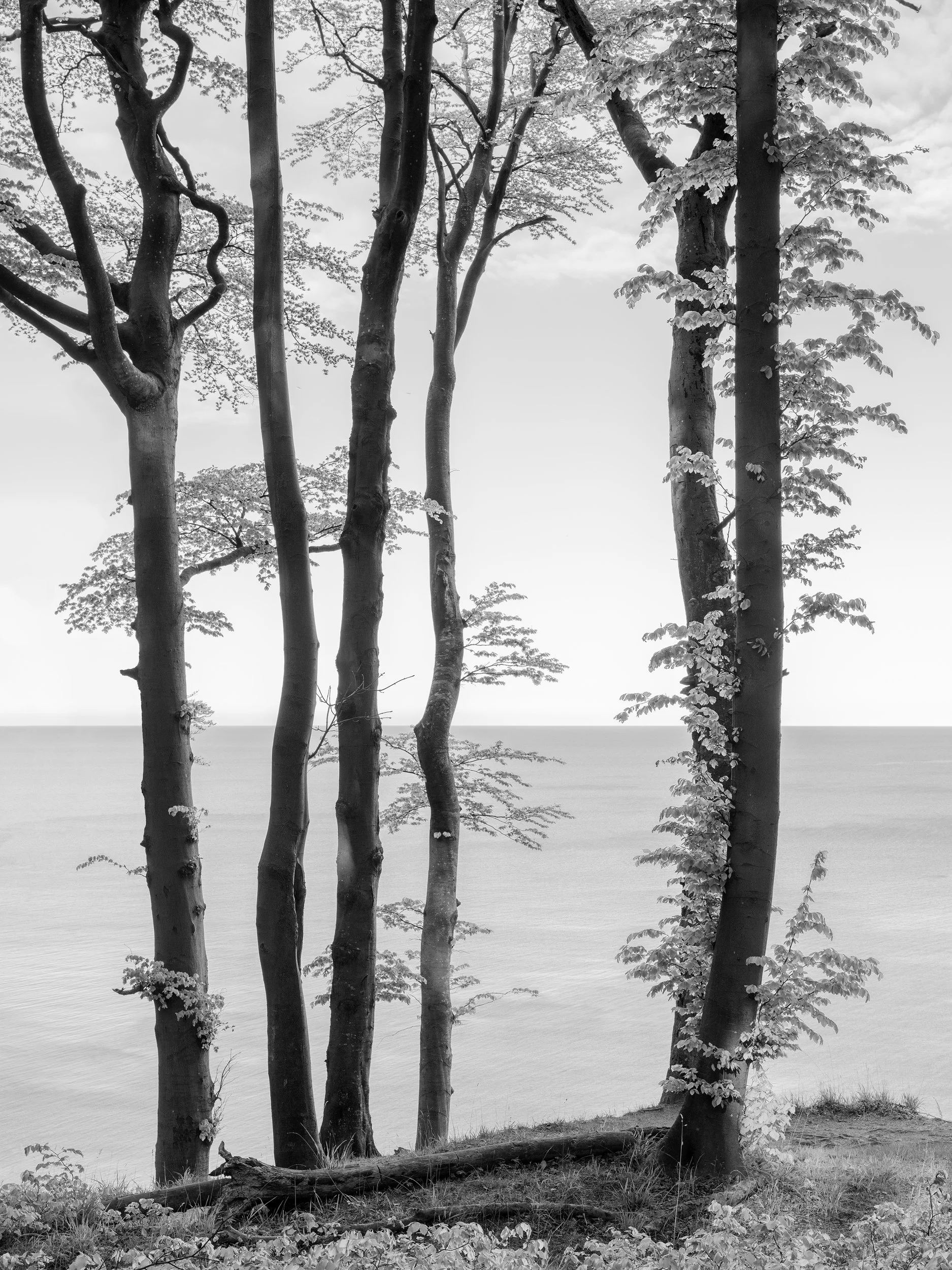 © Loredana Nemes. All Rights Reserved.