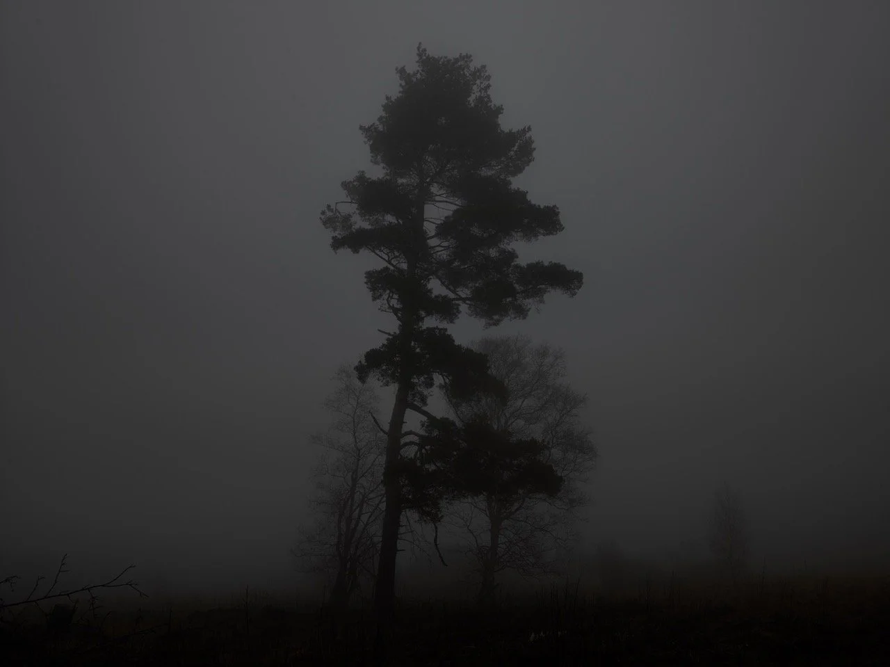 © Michael Schnabel. All Rights Reserved.