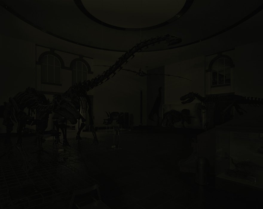 © Michael Schnabel. All Rights Reserved.