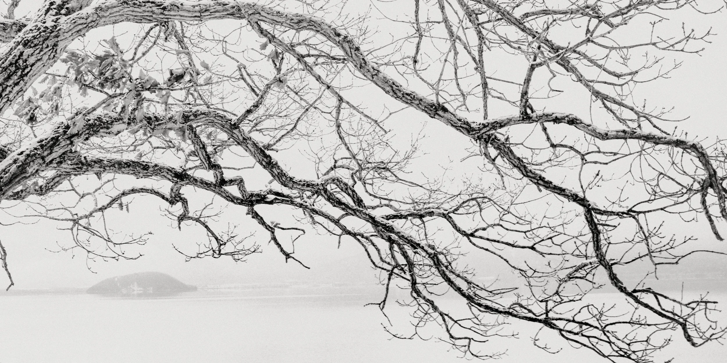 © Margaret Lansink. All Rights Reserved.