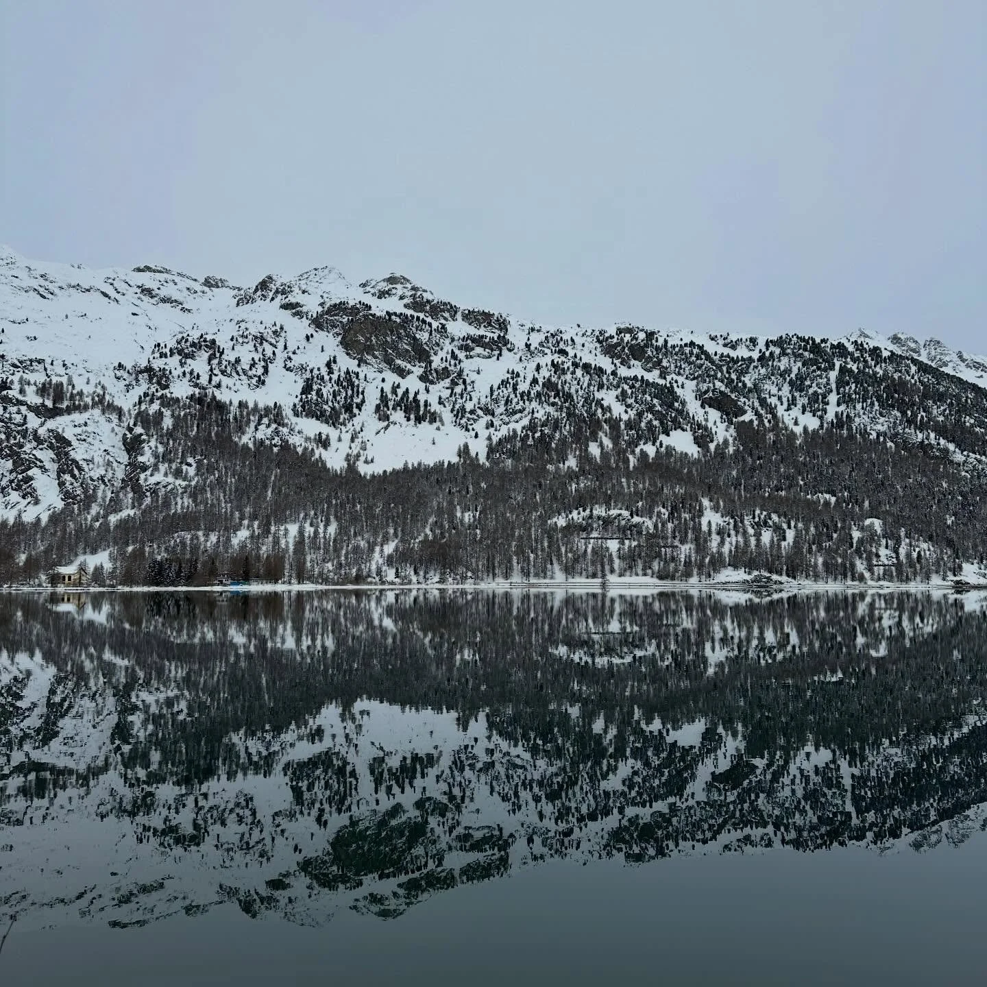 Lake Silvaplana, 2023 #landscapephotography #naturephotography