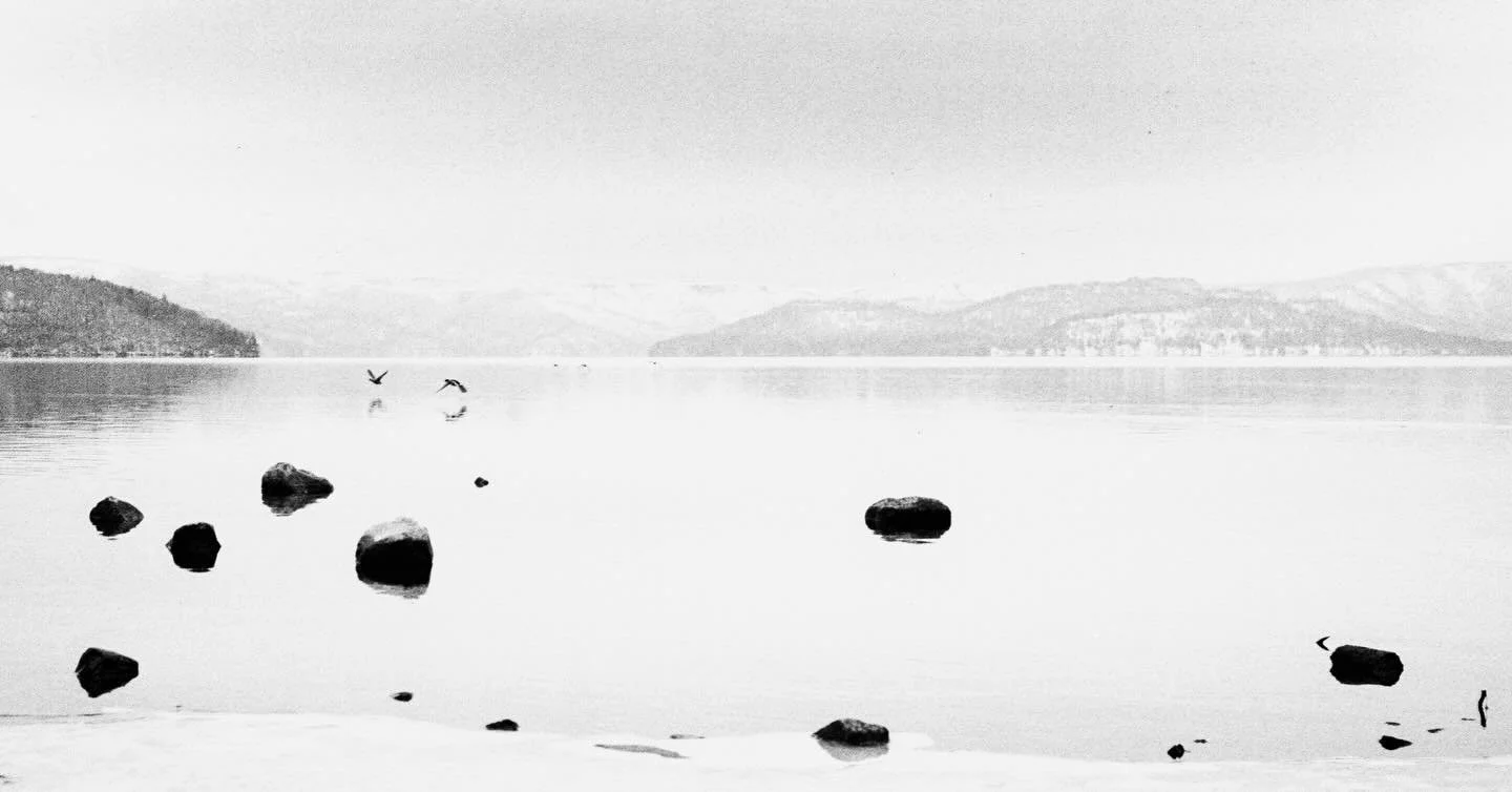 BIRDS, 2021 - Hokkaido, Japan by #margaretlansink #fantasticartwork #landscapephotography #nature - archival_pigment_print_on_washi_paper_from_original_light_print_process