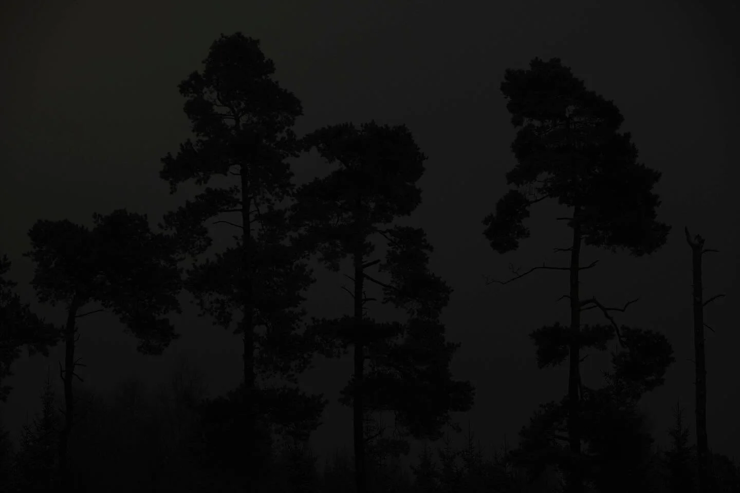 2022_Wental_Winter_Nachts by #michaelschnabelphoto #naturphotography #fantasticartwork #artphoto #photographycollector