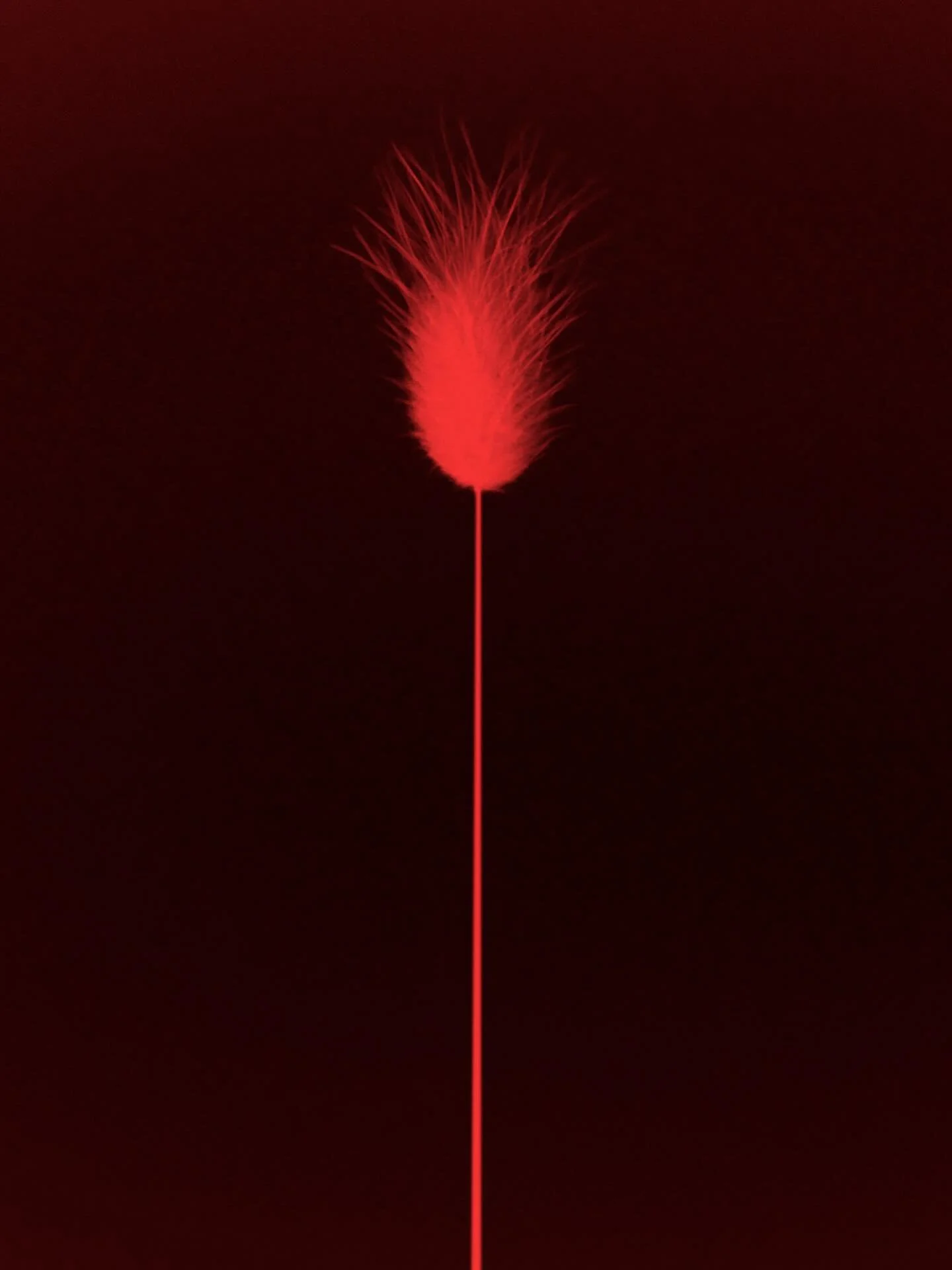 Kudos-2023-by @paul.cupido #photography #artphotography #fantasticartwork #photographycollector