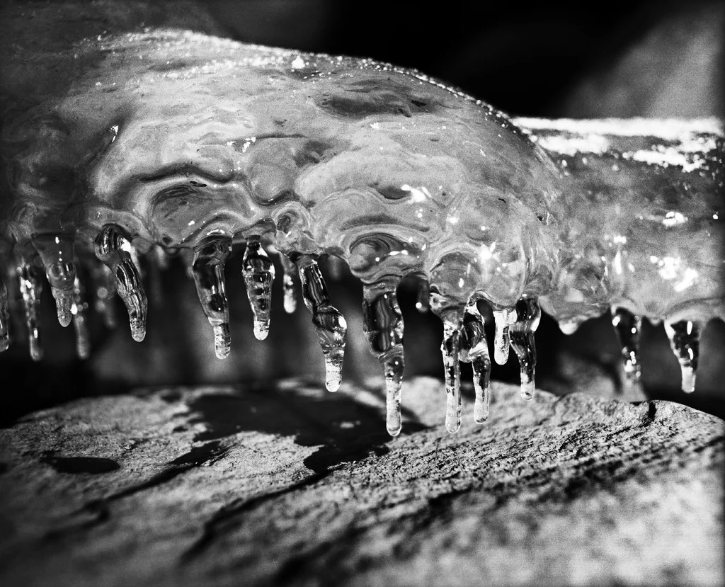 Margot Wallard_Untitled (from series Natten)_2013-2017 (15).jpeg