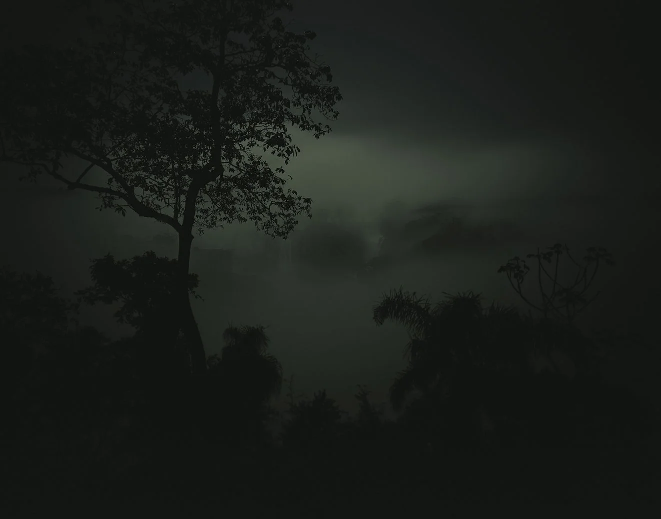 © Michael Schnabel. All Rights Reserved.