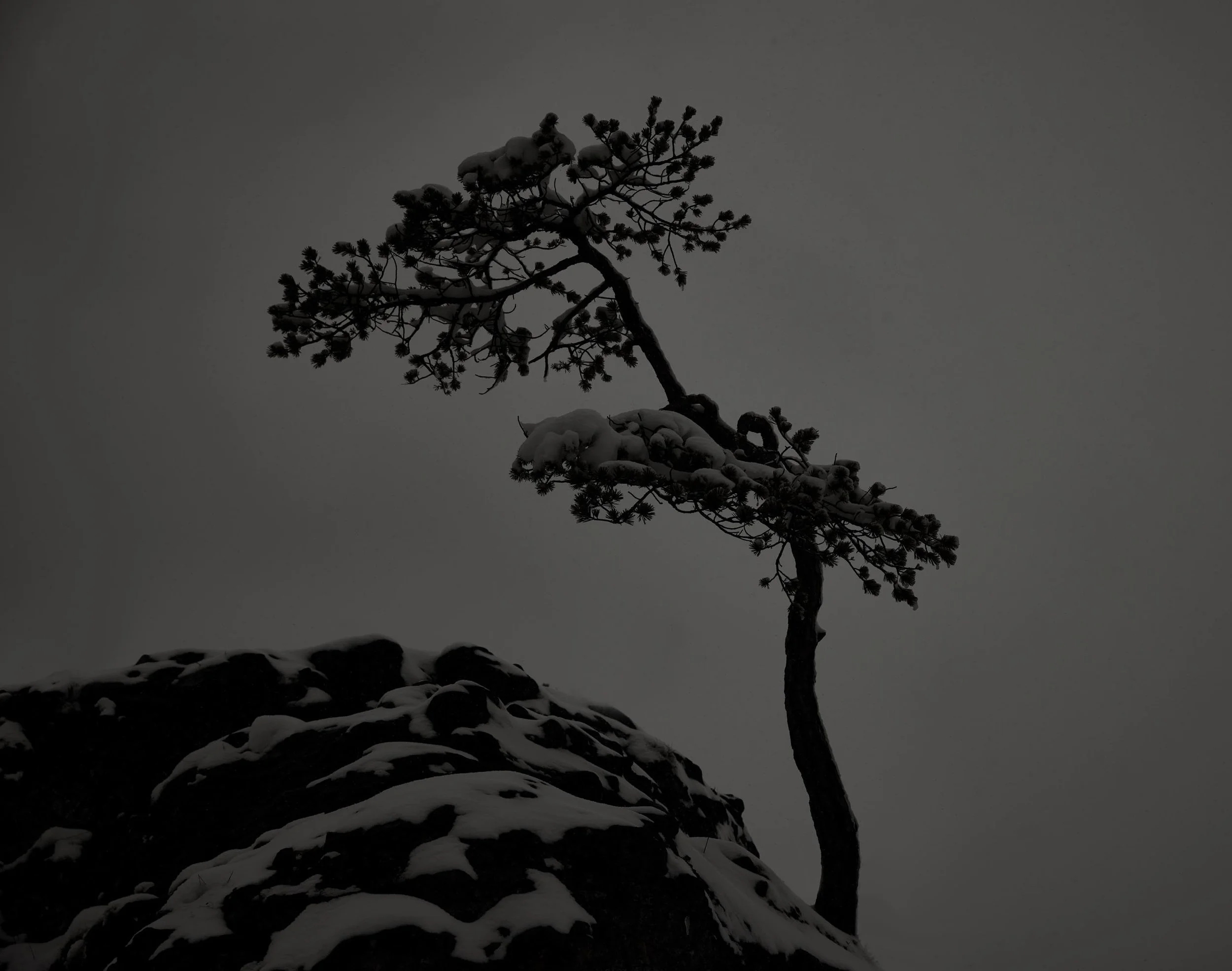 © Michael Schnabel. All Rights Reserved.