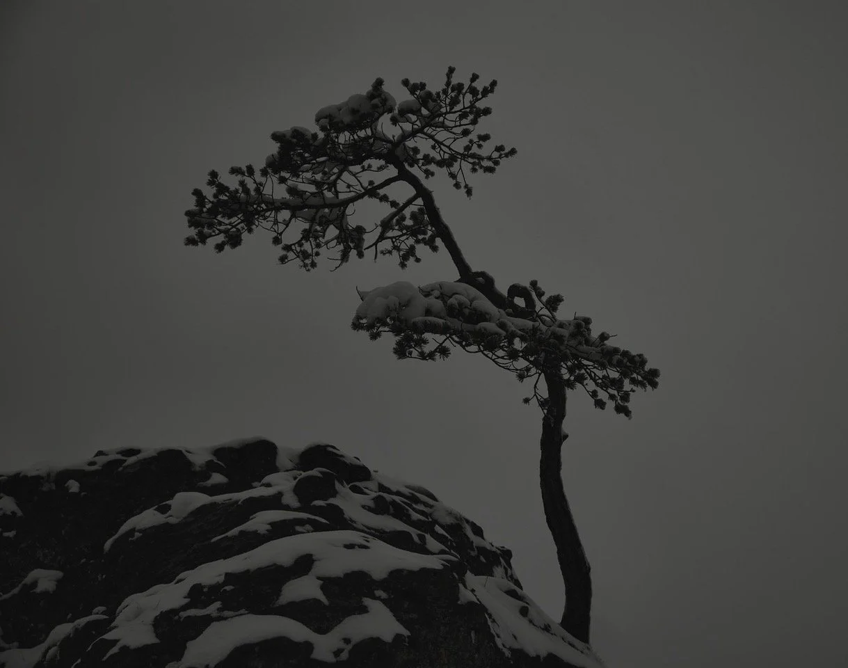 © Michael Schnabel. All Rights Reserved.