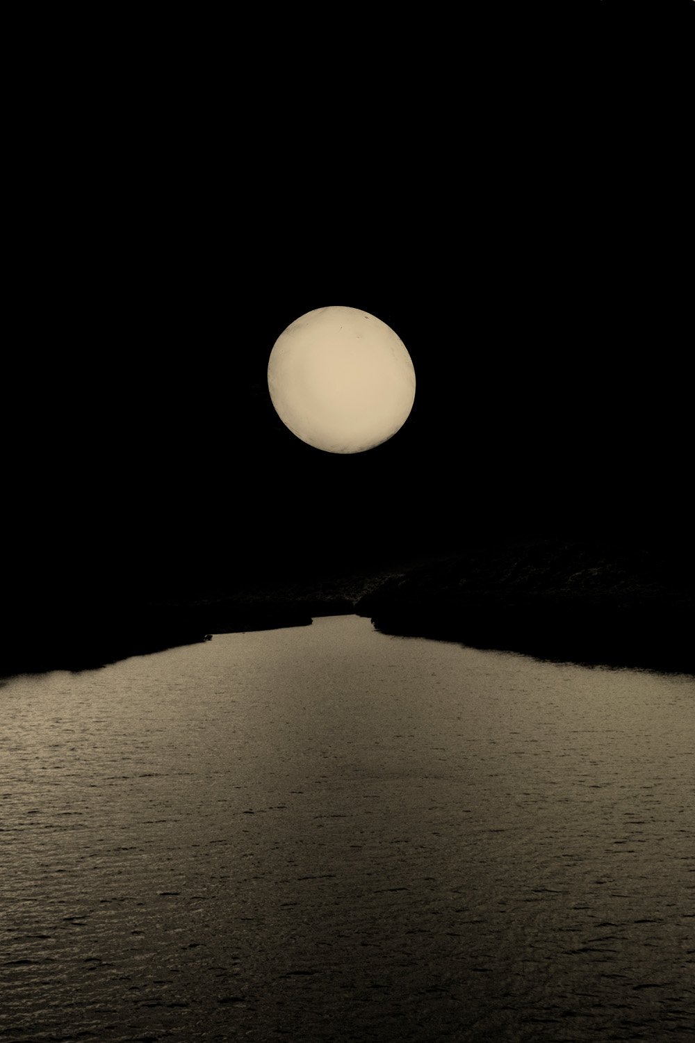 © Paul Cupido. All Rights Reserved.