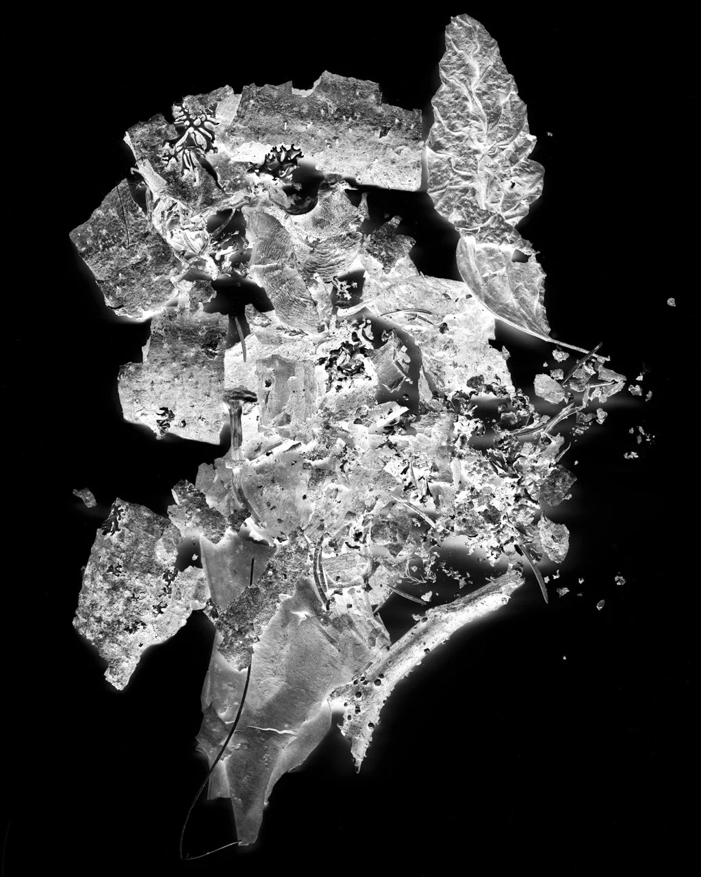 Margot Wallard_Untitled (from series Natten)_2013-2017 (26).jpeg