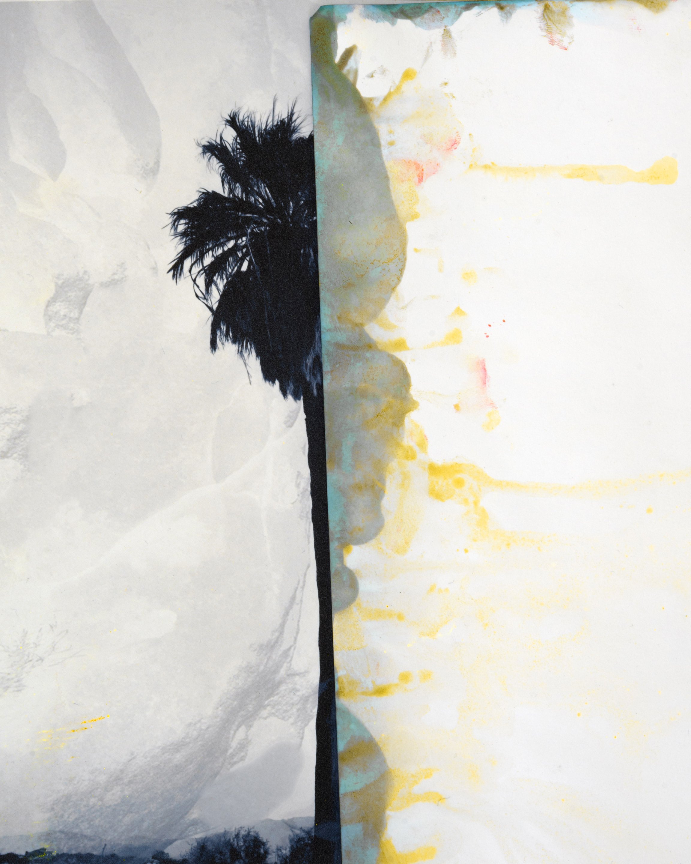 © Douglas Mandry. All Rights Reserved.