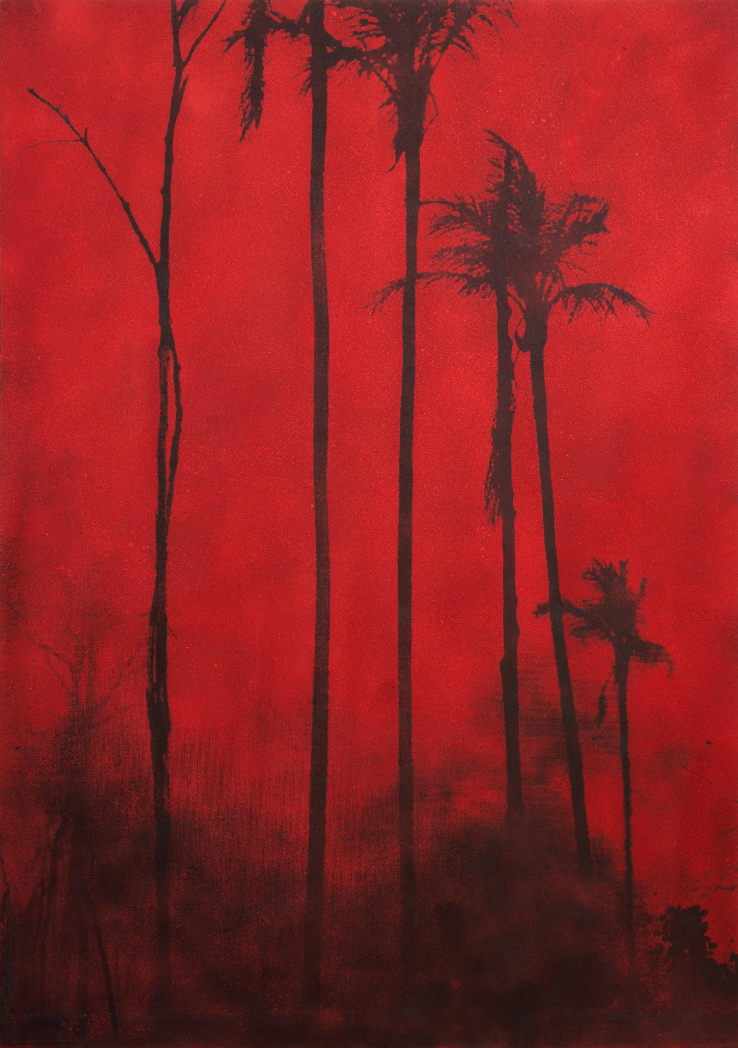 © Douglas Mandry. All Rights Reserved.