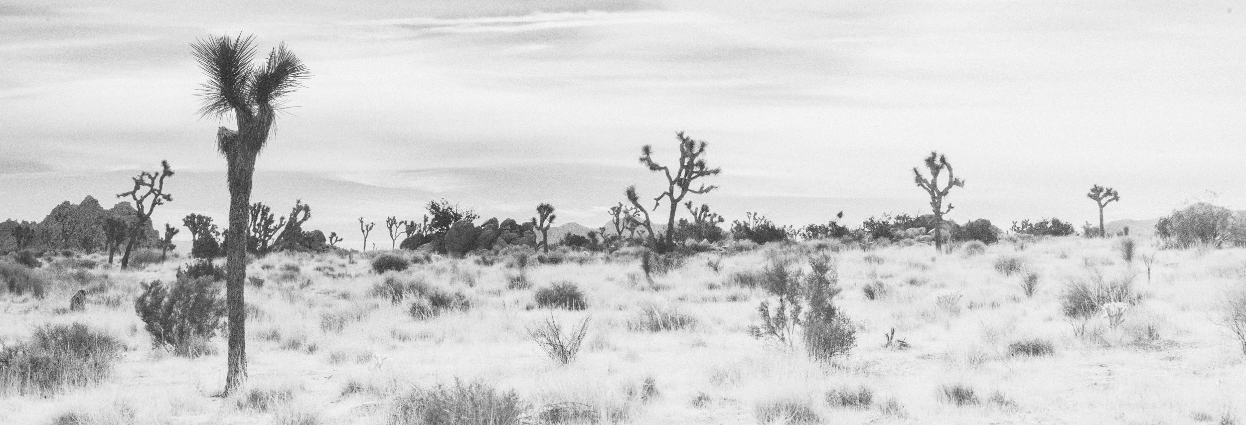 © Margaret Lansink. All Rights Reserved.