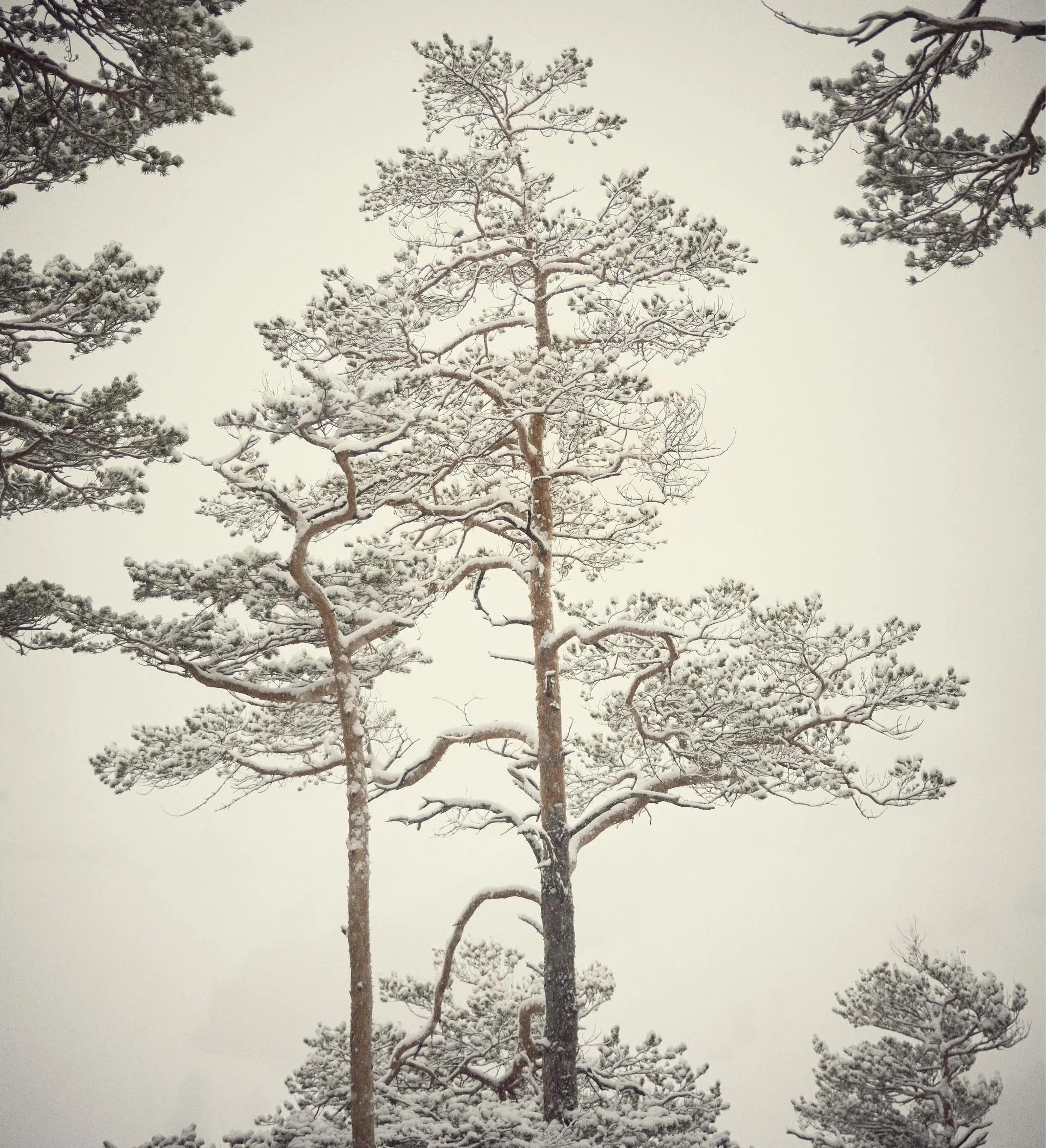 © Michael Schnabel. All Rights Reserved.