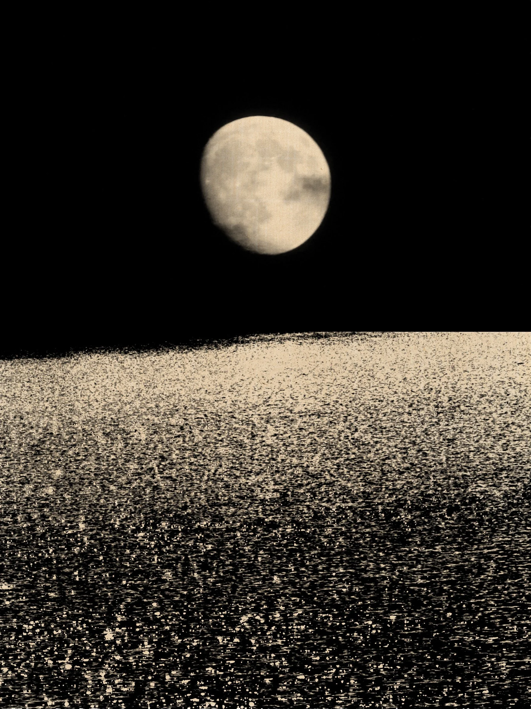 © Paul Cupido. All Rights Reserved.