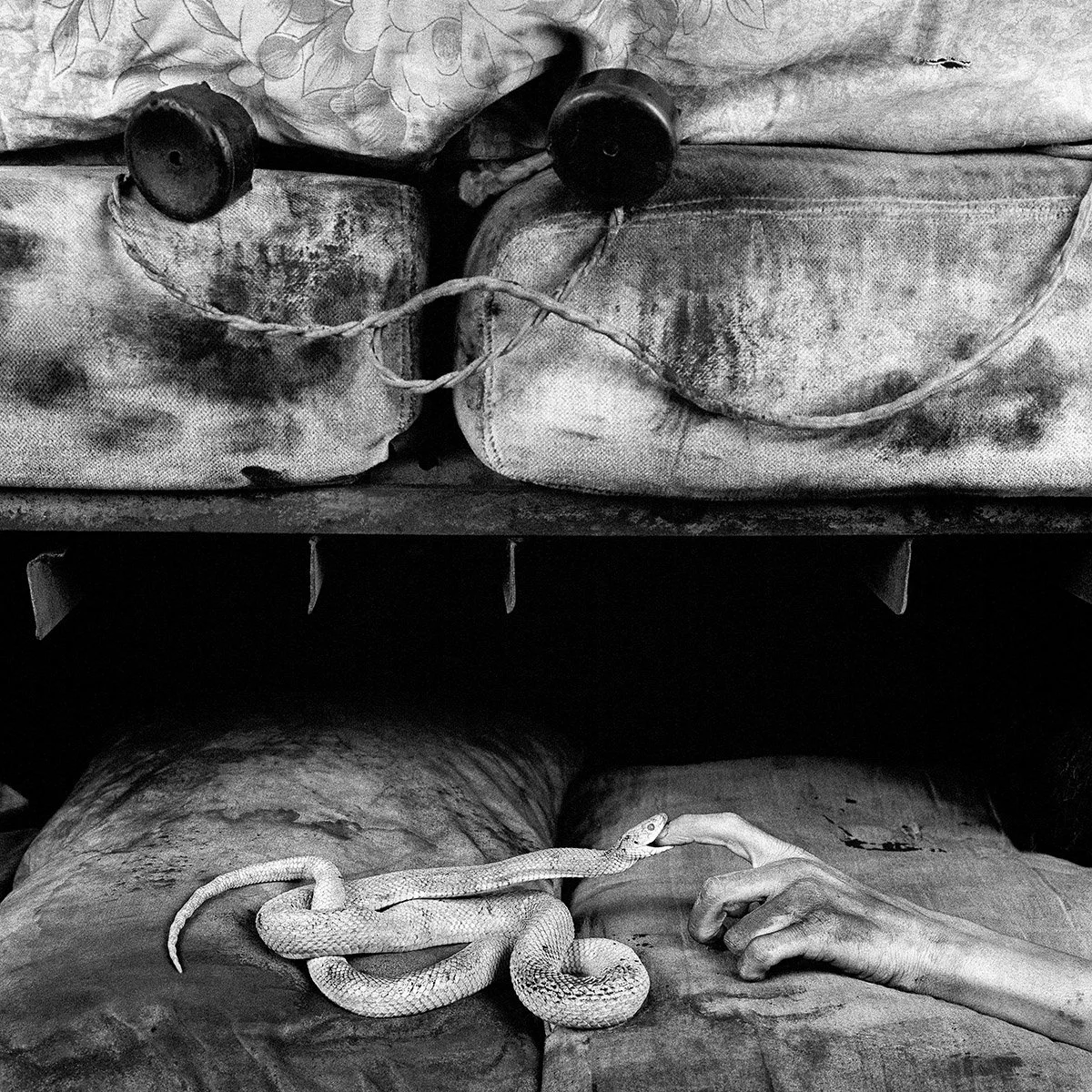 © Roger Ballen. All Rights Reserved.
