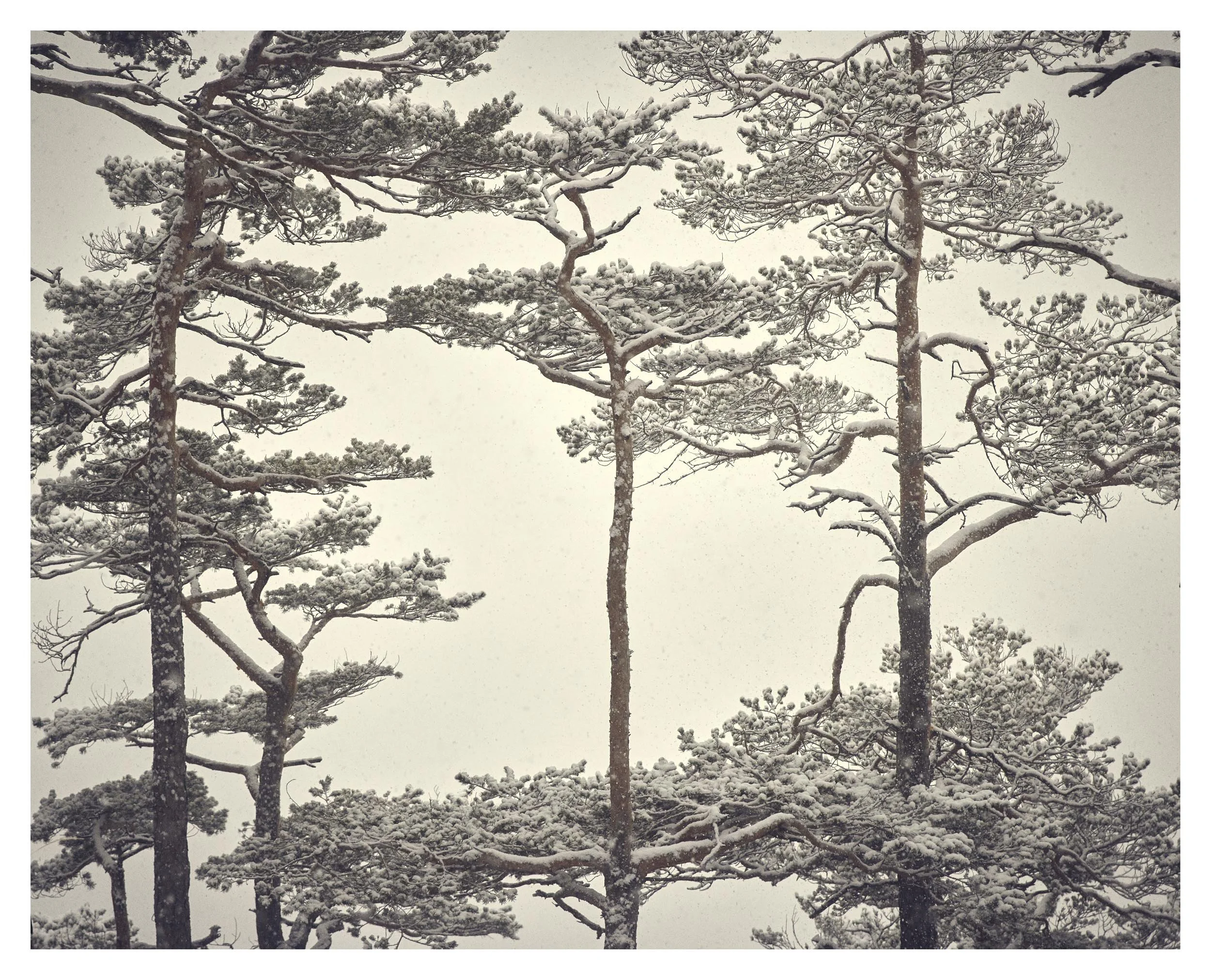 © Michael Schnabel. All Rights Reserved.