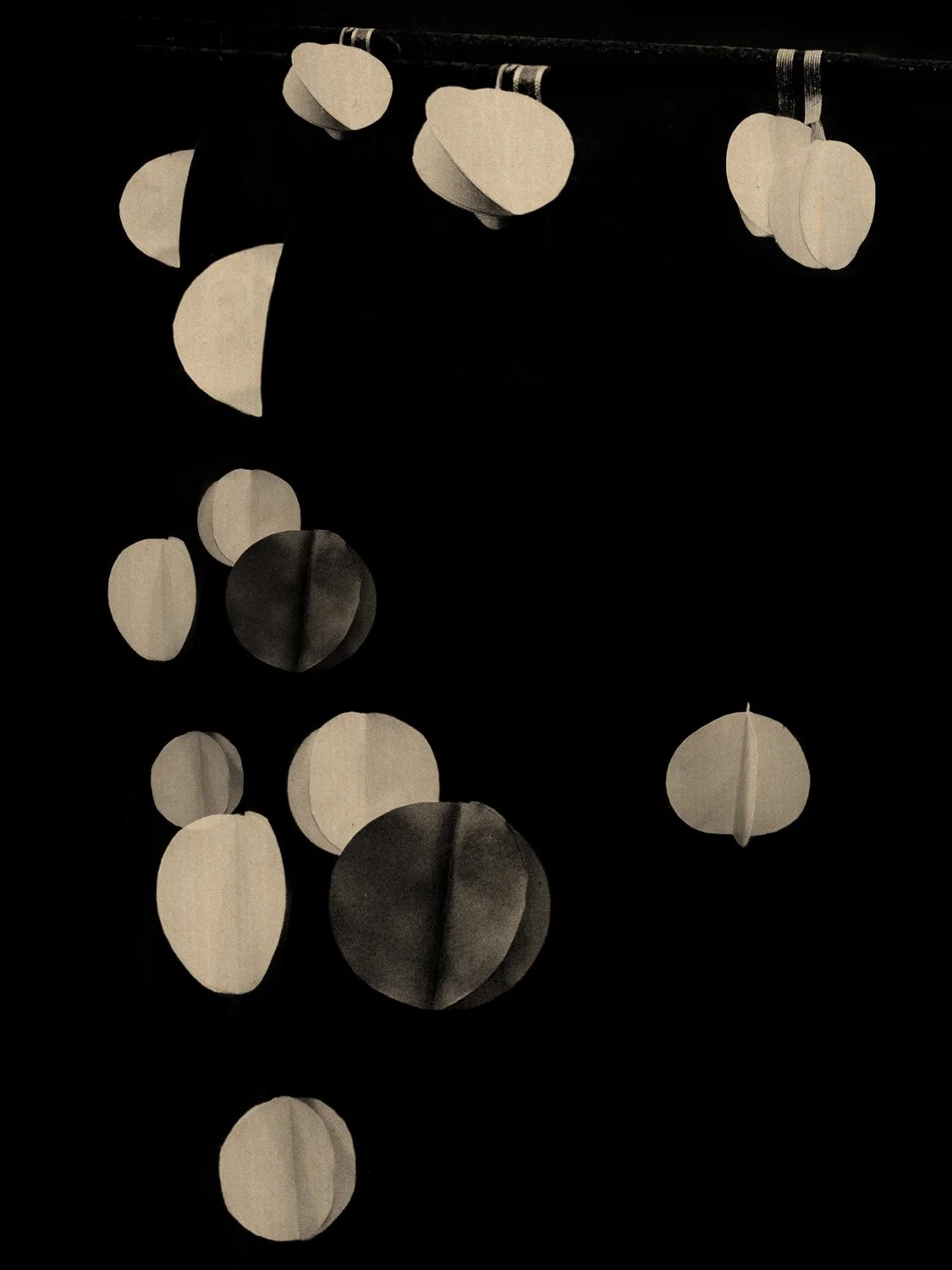 © Paul Cupido. All Rights Reserved.