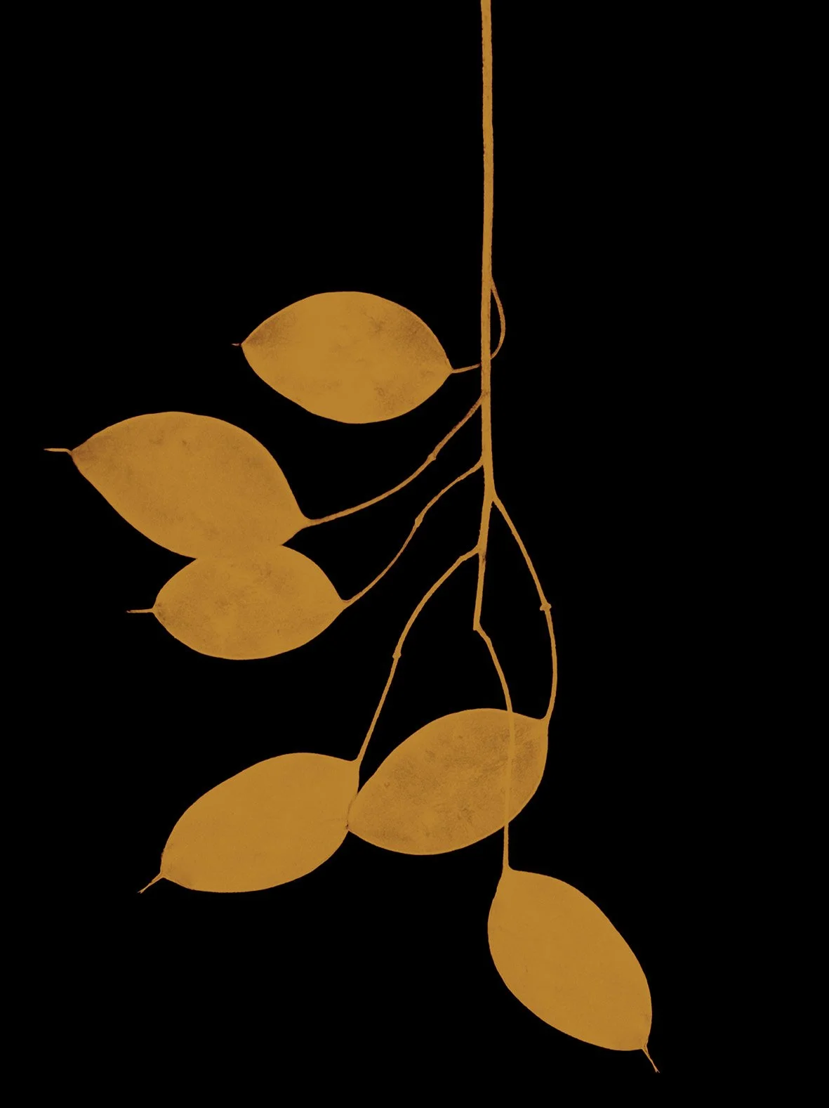 © Paul Cupido. All Rights Reserved.