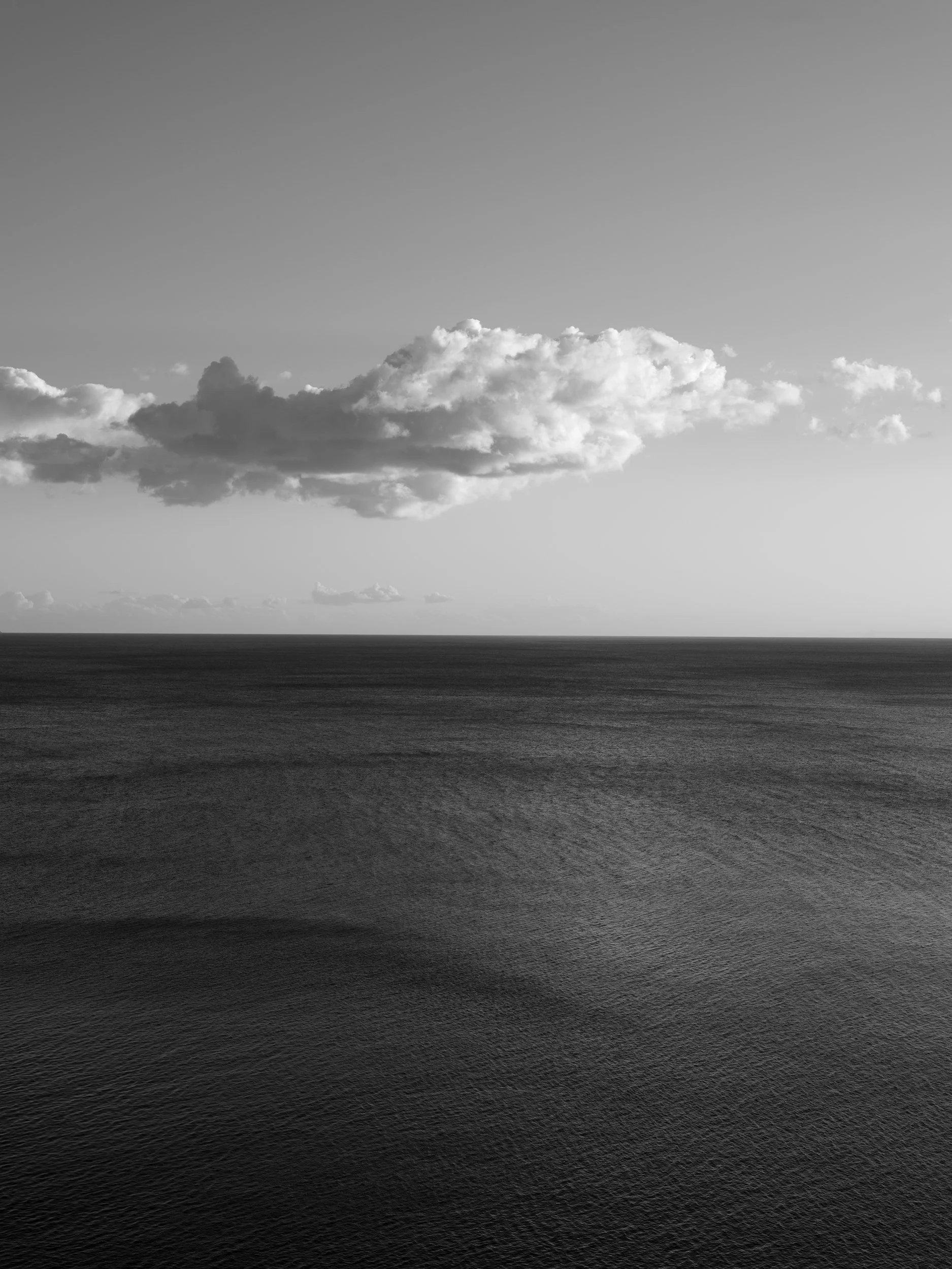 © Loredana Nemes. All Rights Reserved.