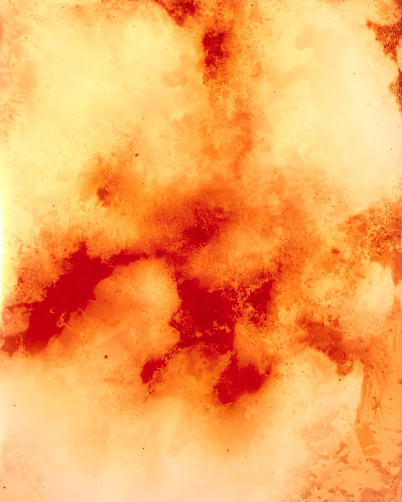 © Douglas Mandry. All Rights Reserved.