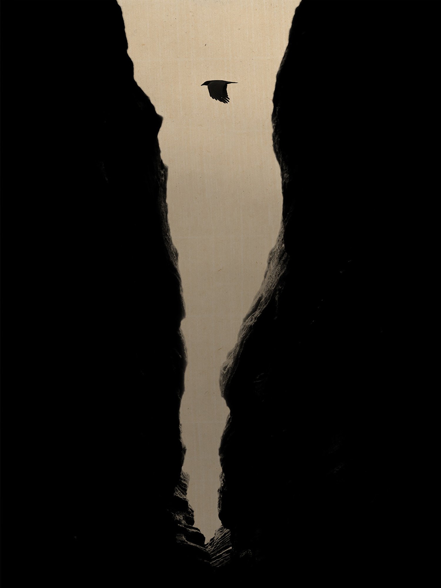 © Paul Cupido. All Rights Reserved.